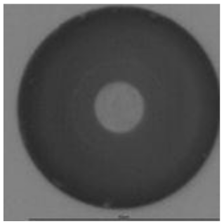 Ijerph 18 08346 i015