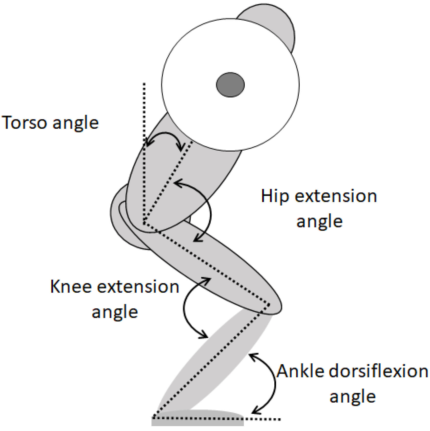 IJERPH Free FullText A Biomechanical Comparison of the SafetyBar