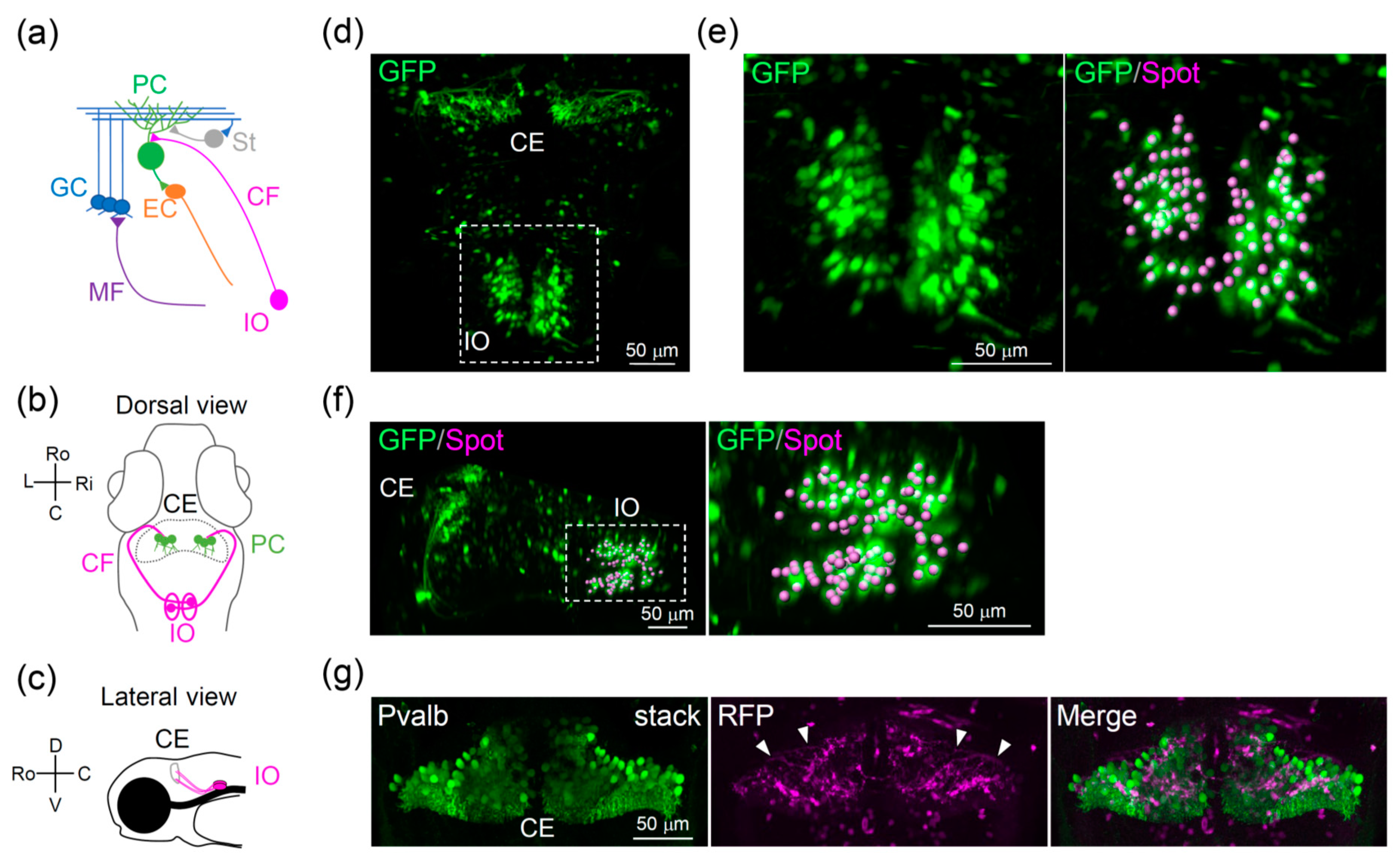 Ijerph 18 08357 g001