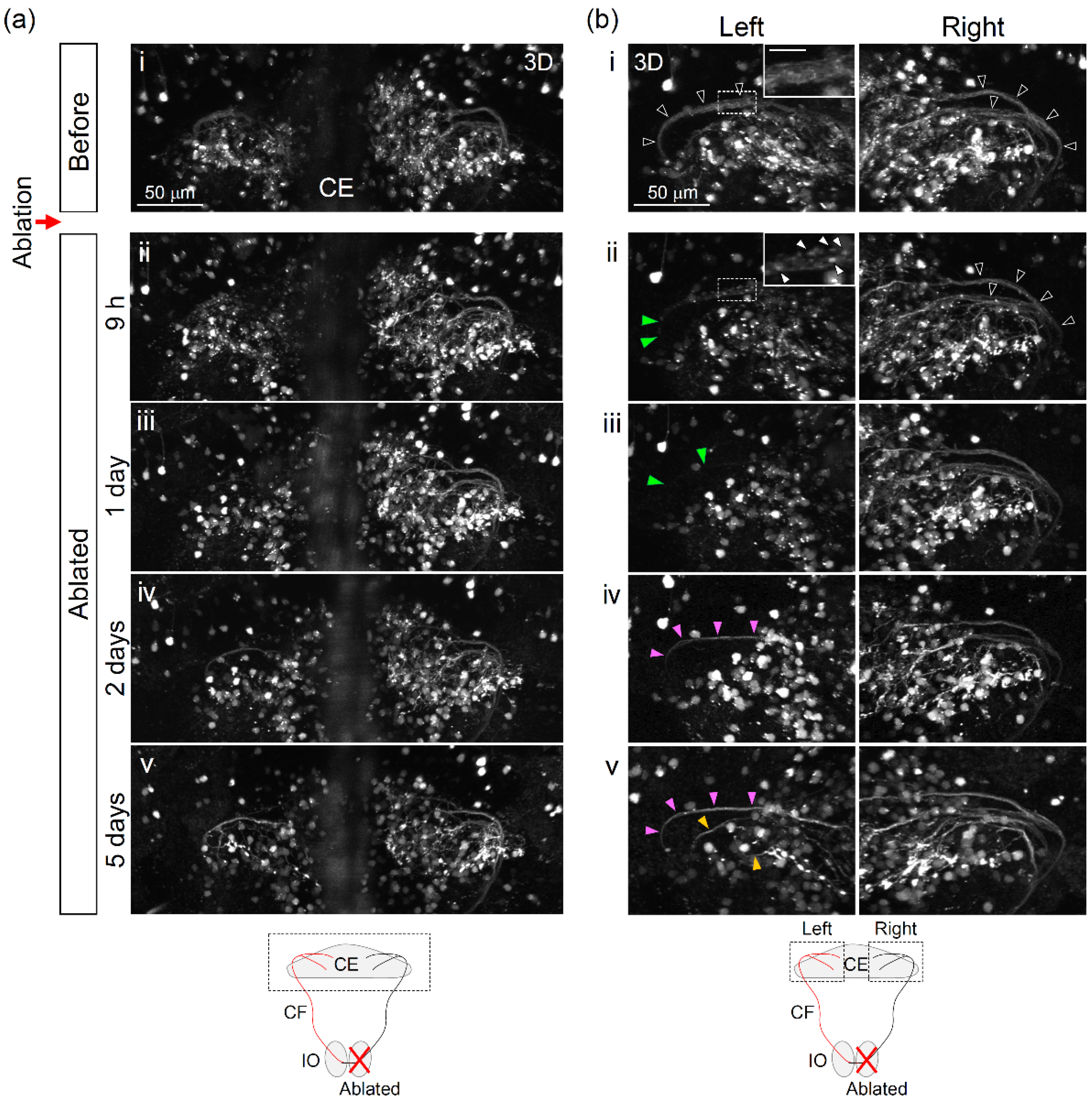 Ijerph 18 08357 g004