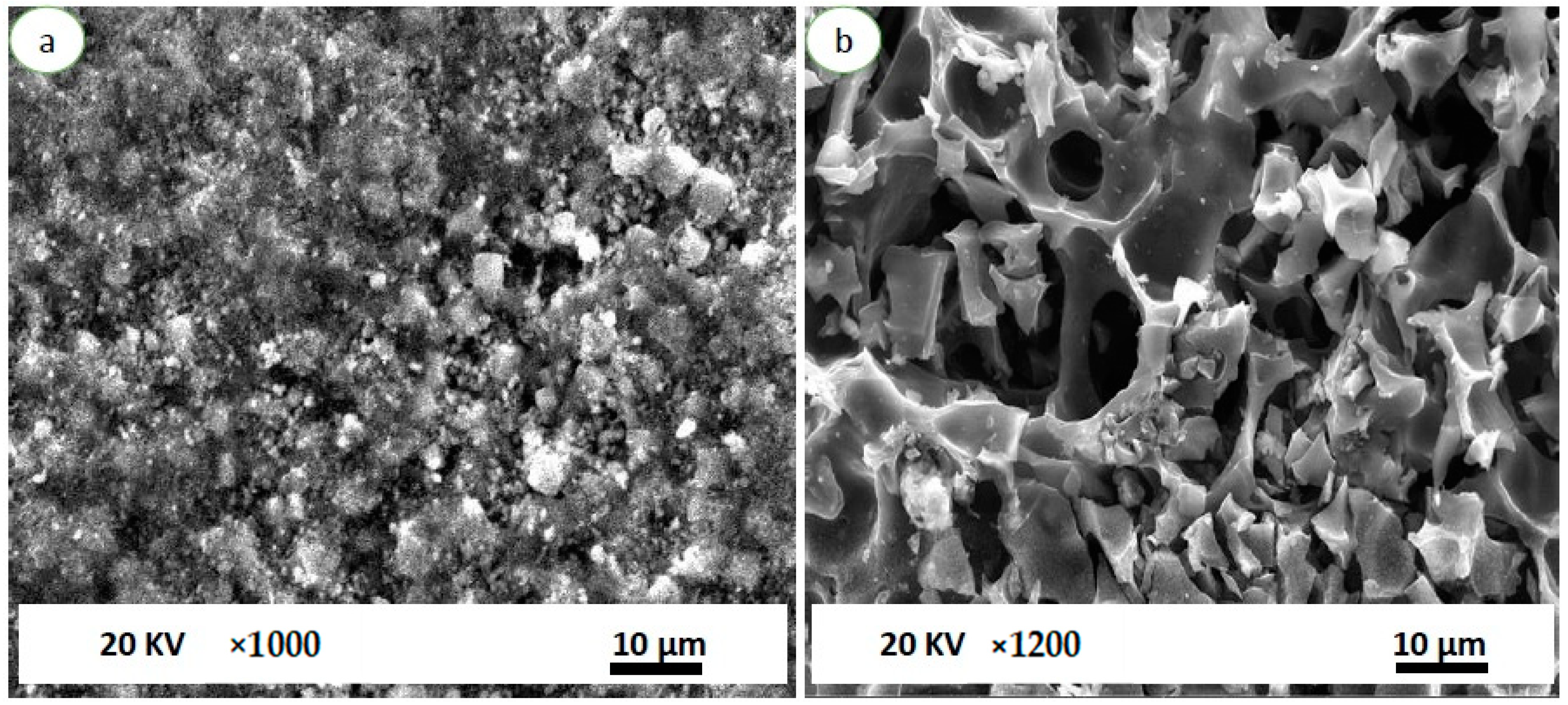 Ijerph 18 08497 g003 550