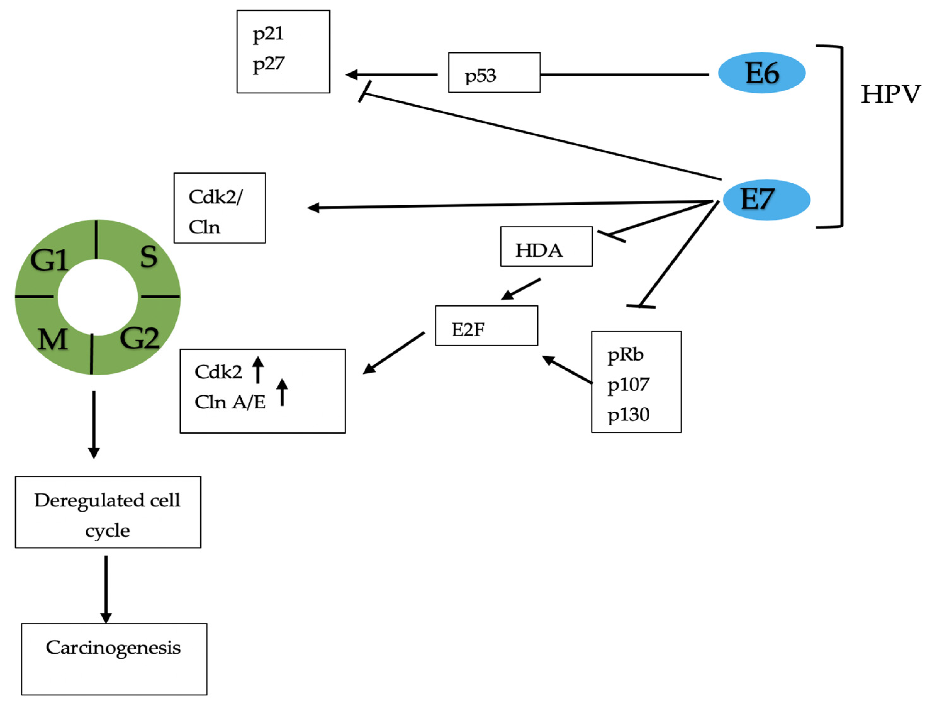 Ijerph 18 08500 g004