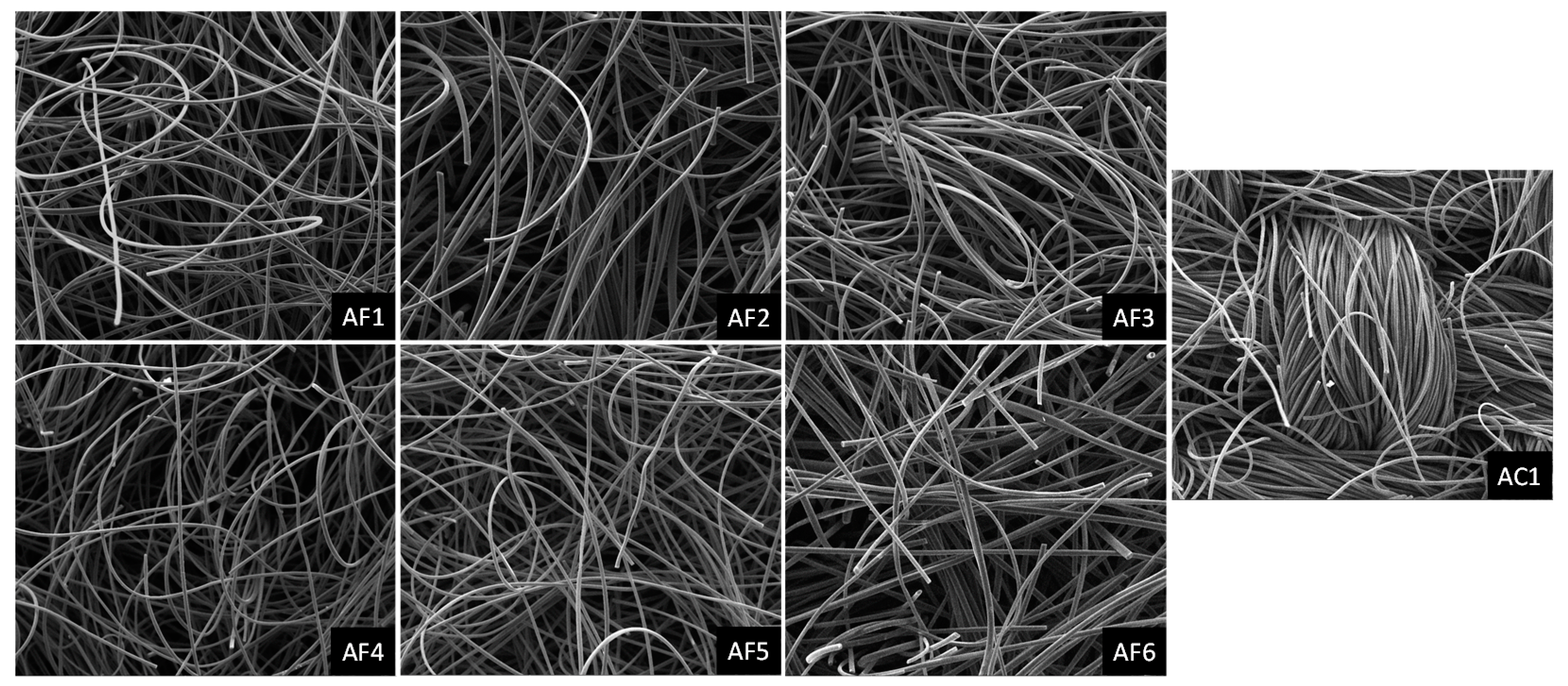 Ijerph 18 08505 g002