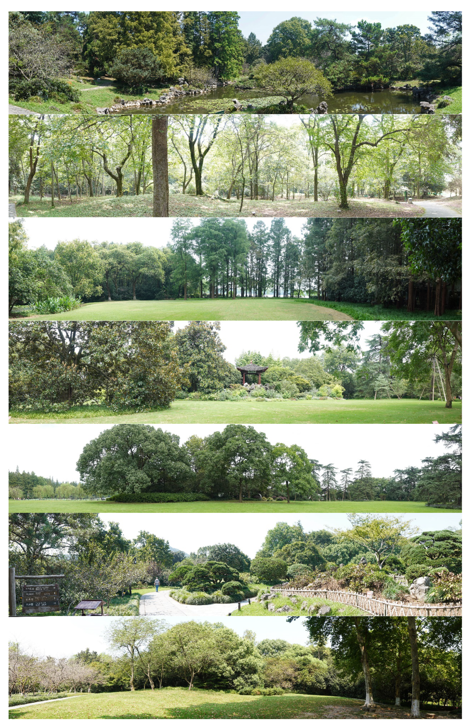 Ijerph 18 08526 g0a1b 550