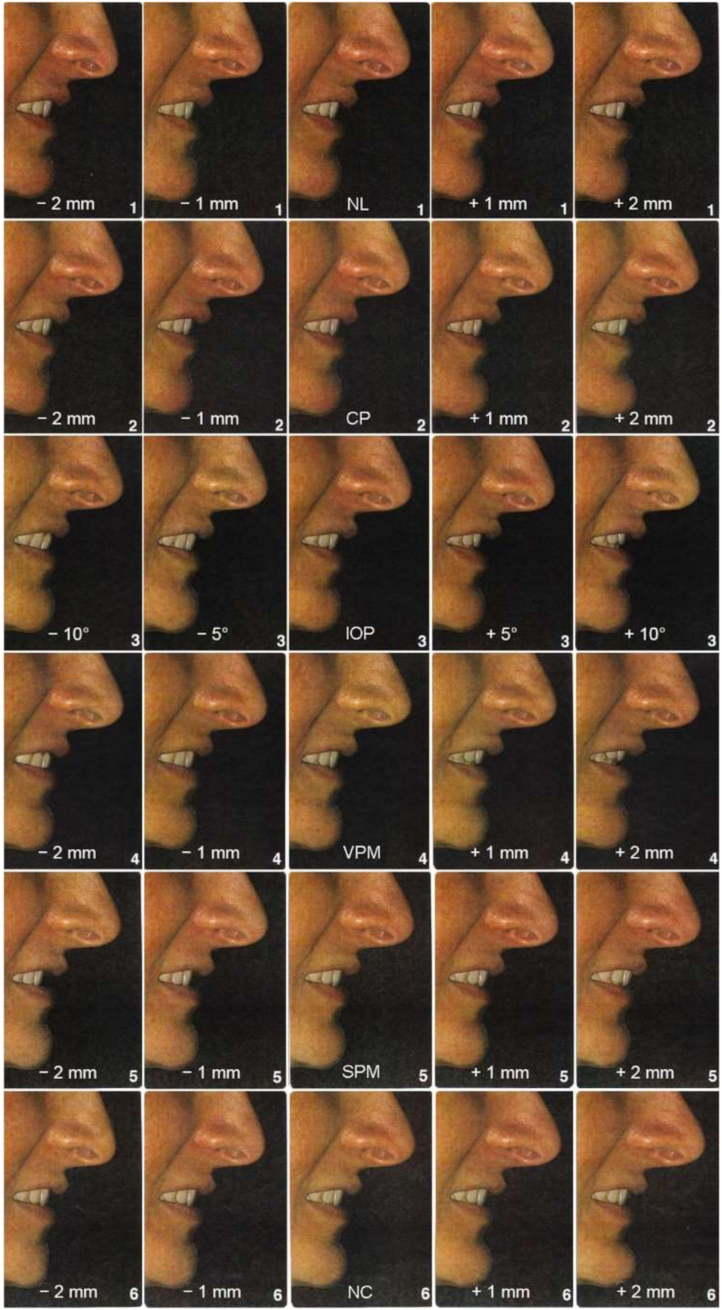 Ijerph 18 08554 g001 Ijerph 18 08554 g001