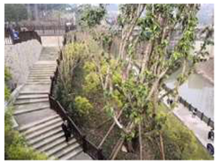 Ijerph 18 08696 i002