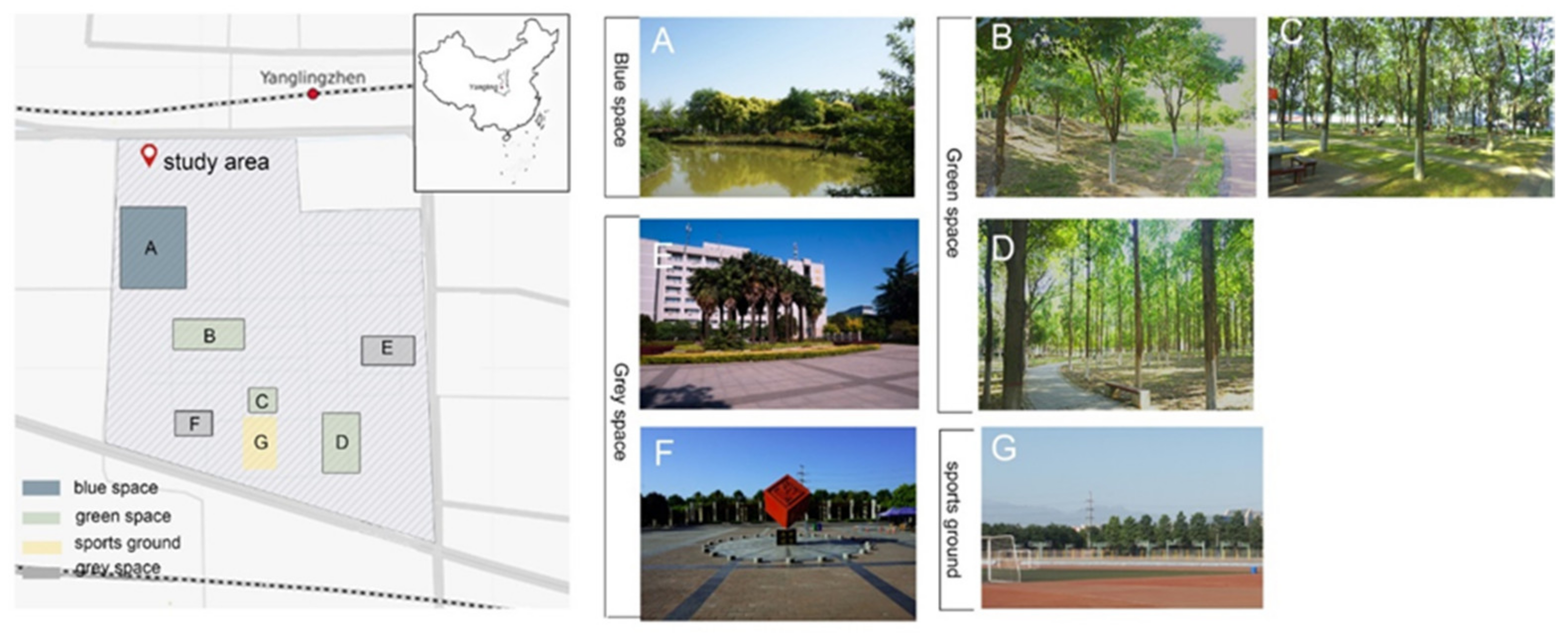 Ijerph 18 08731 g001 550