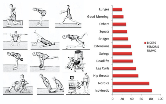 Illustration of balance (A-E) and sliding-leg curl (F) exercises used