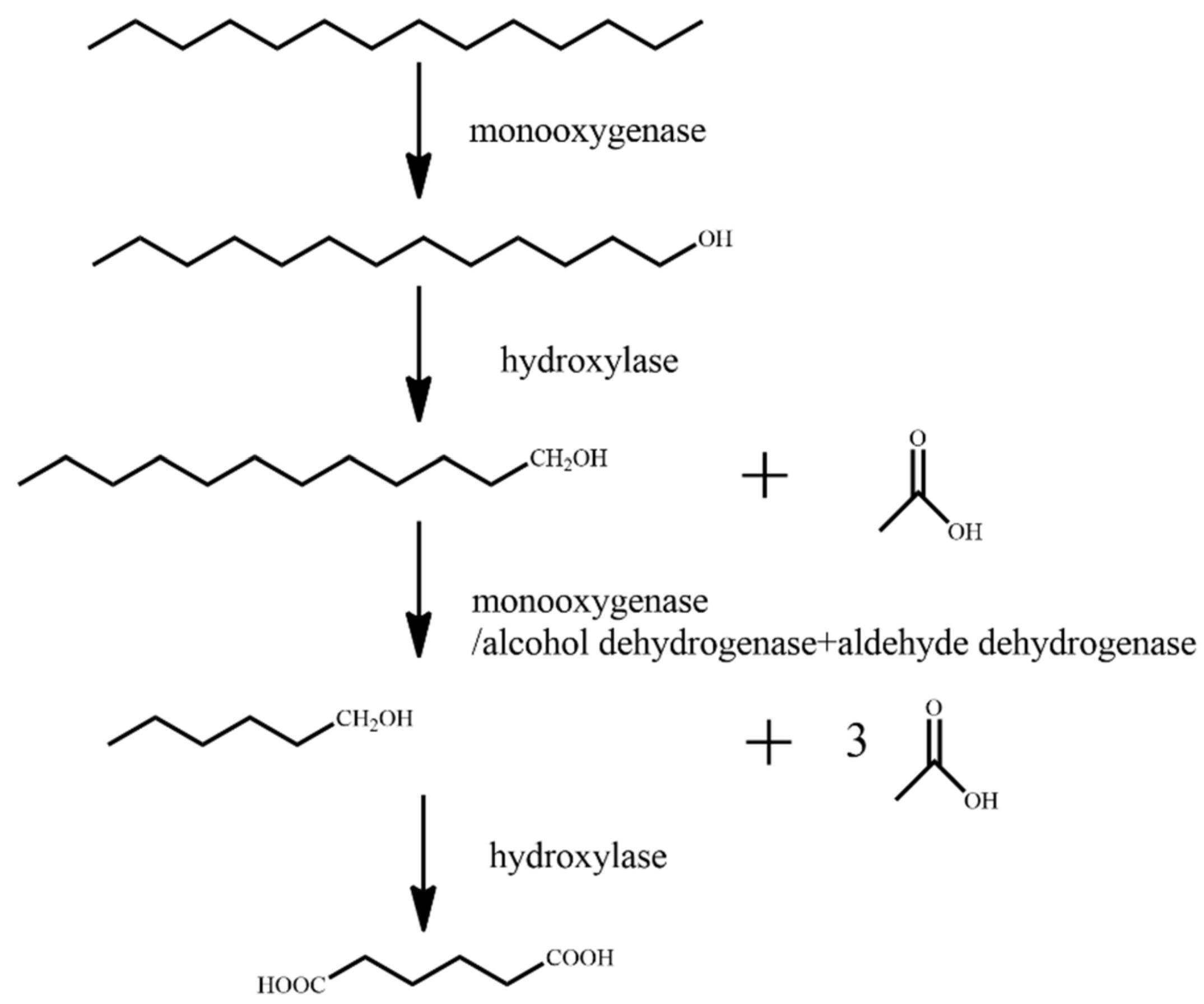 Ijerph 18 08794 g001 Ijerph 18 08794 g001