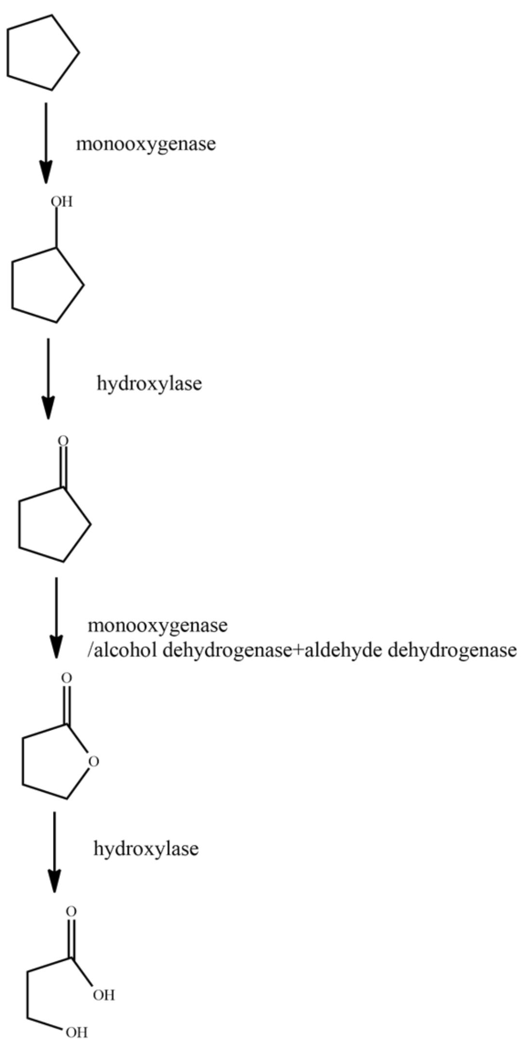 Ijerph 18 08794 g003 Ijerph 18 08794 g003