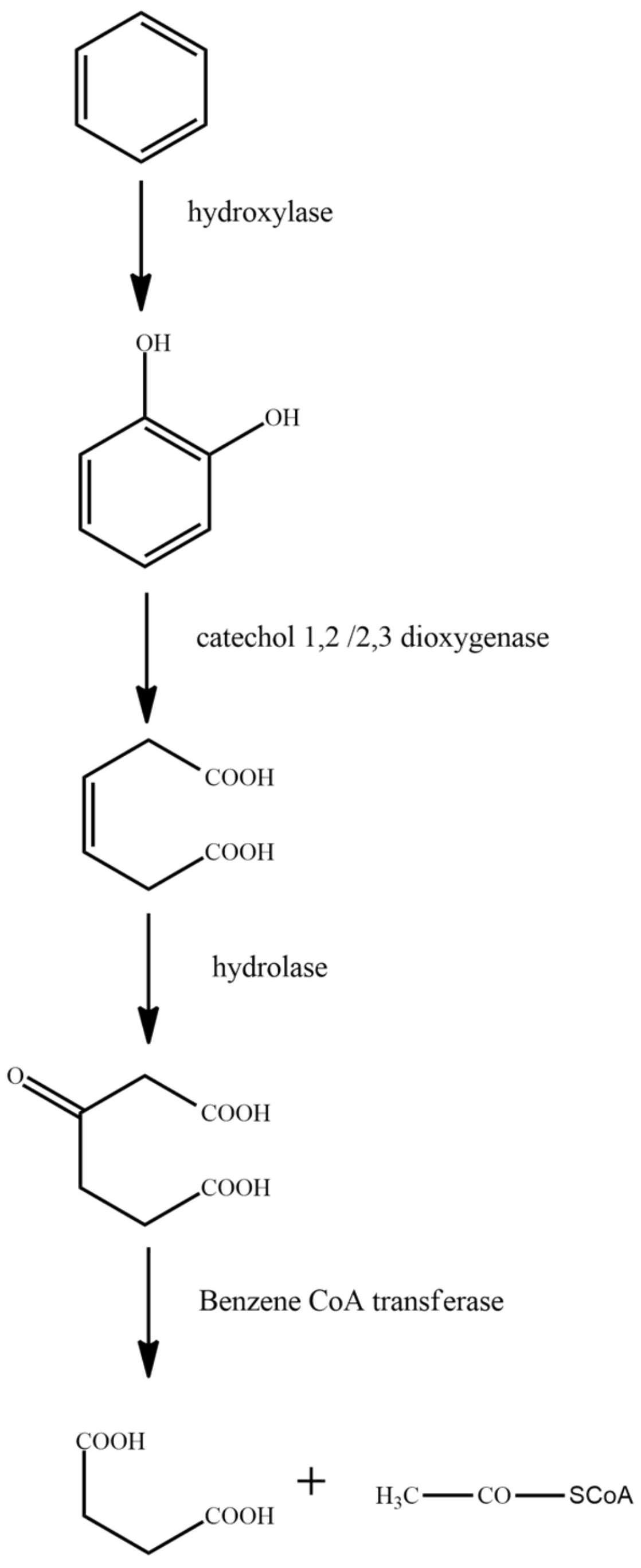 Ijerph 18 08794 g004 Ijerph 18 08794 g004
