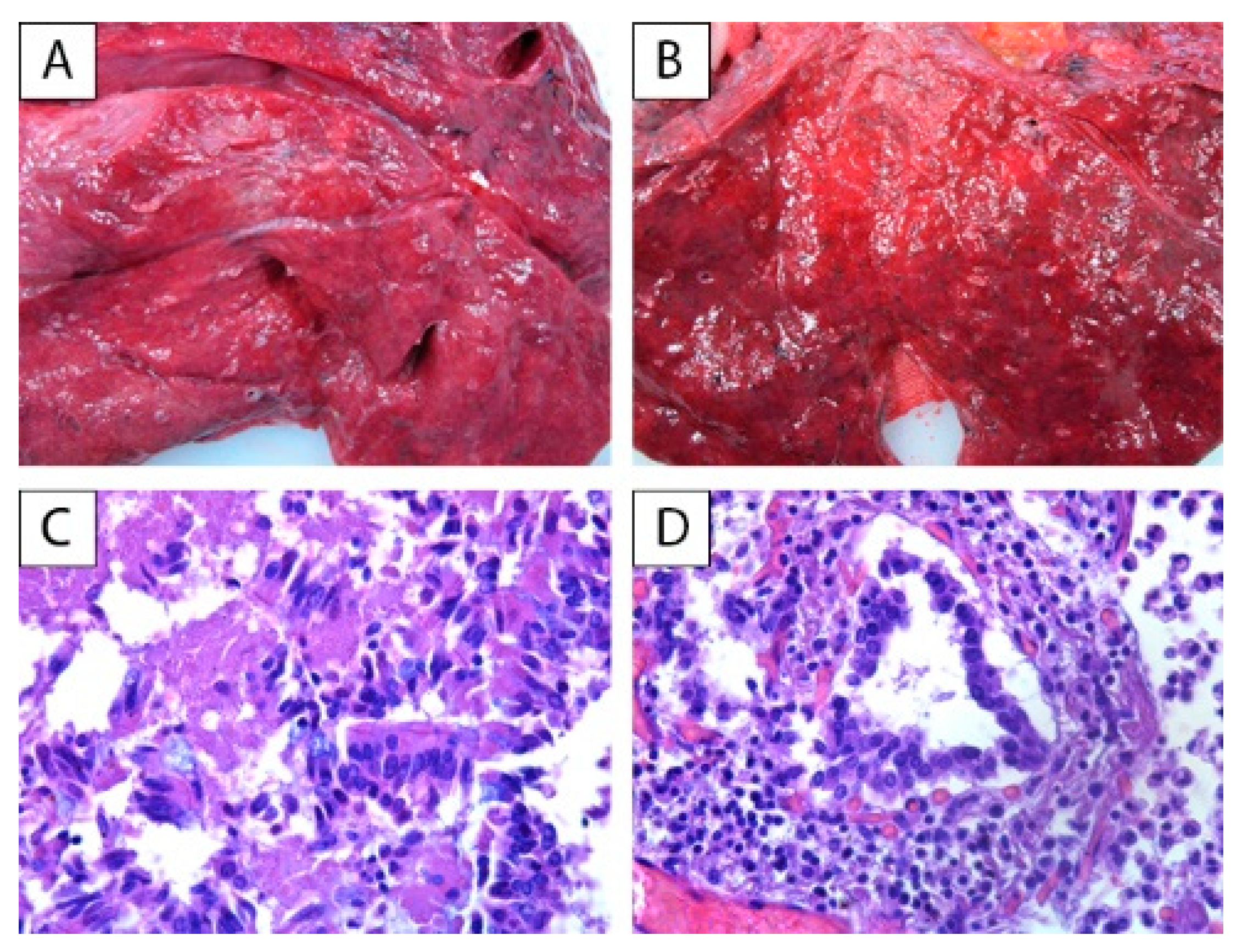 Ijerph 18 08851 g002