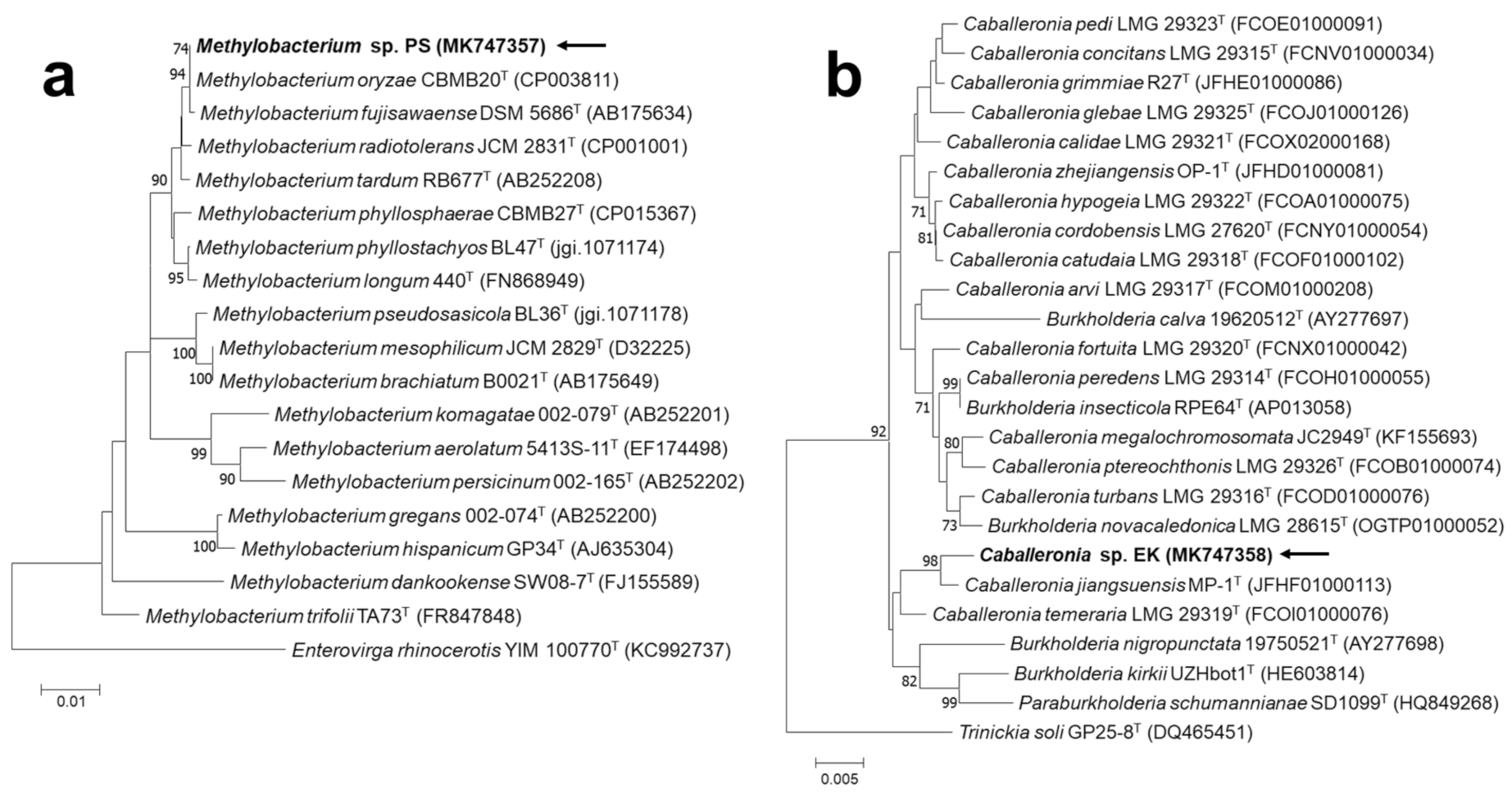Ijerph 18 08919 g001 550