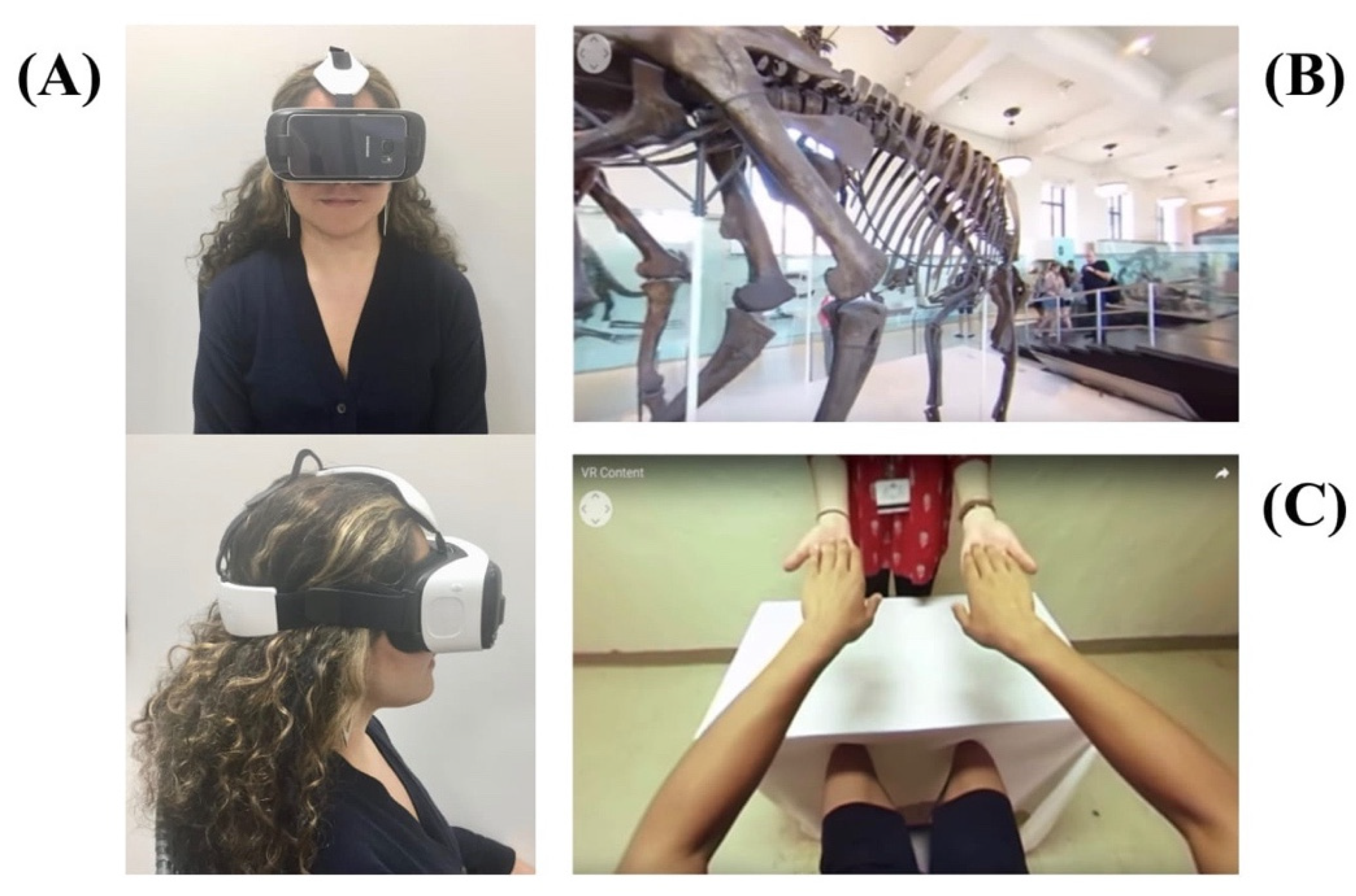 Oculus Rift C4-A VR Virtual Reality Headset System 2 Sensors 2