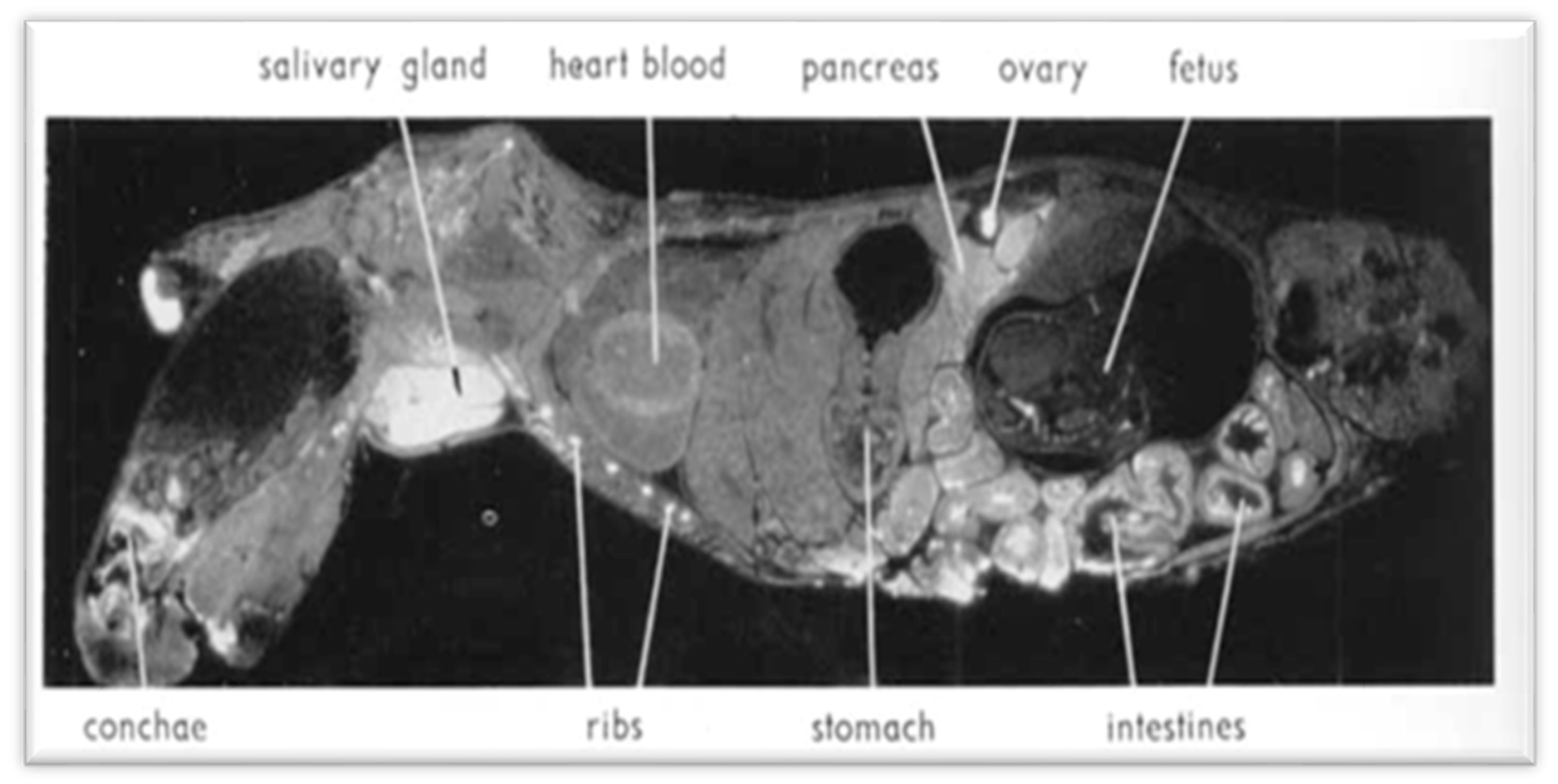 Ijerph 18 08934 g005 Ijerph 18 08934 g005