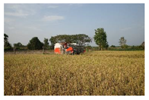 Ijerph 18 08942 i004