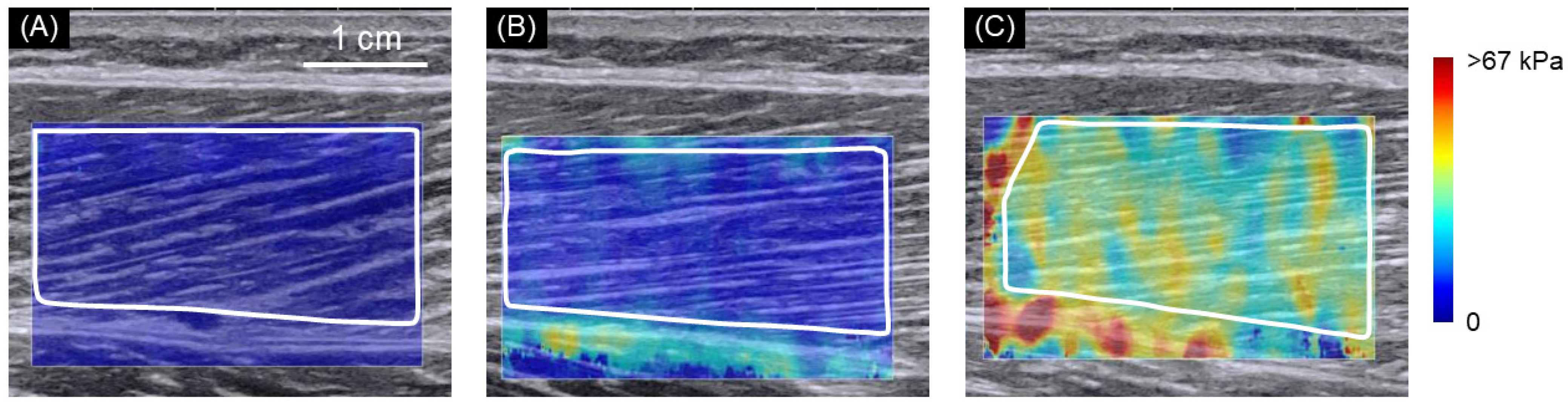 Ijerph 18 08947 g002