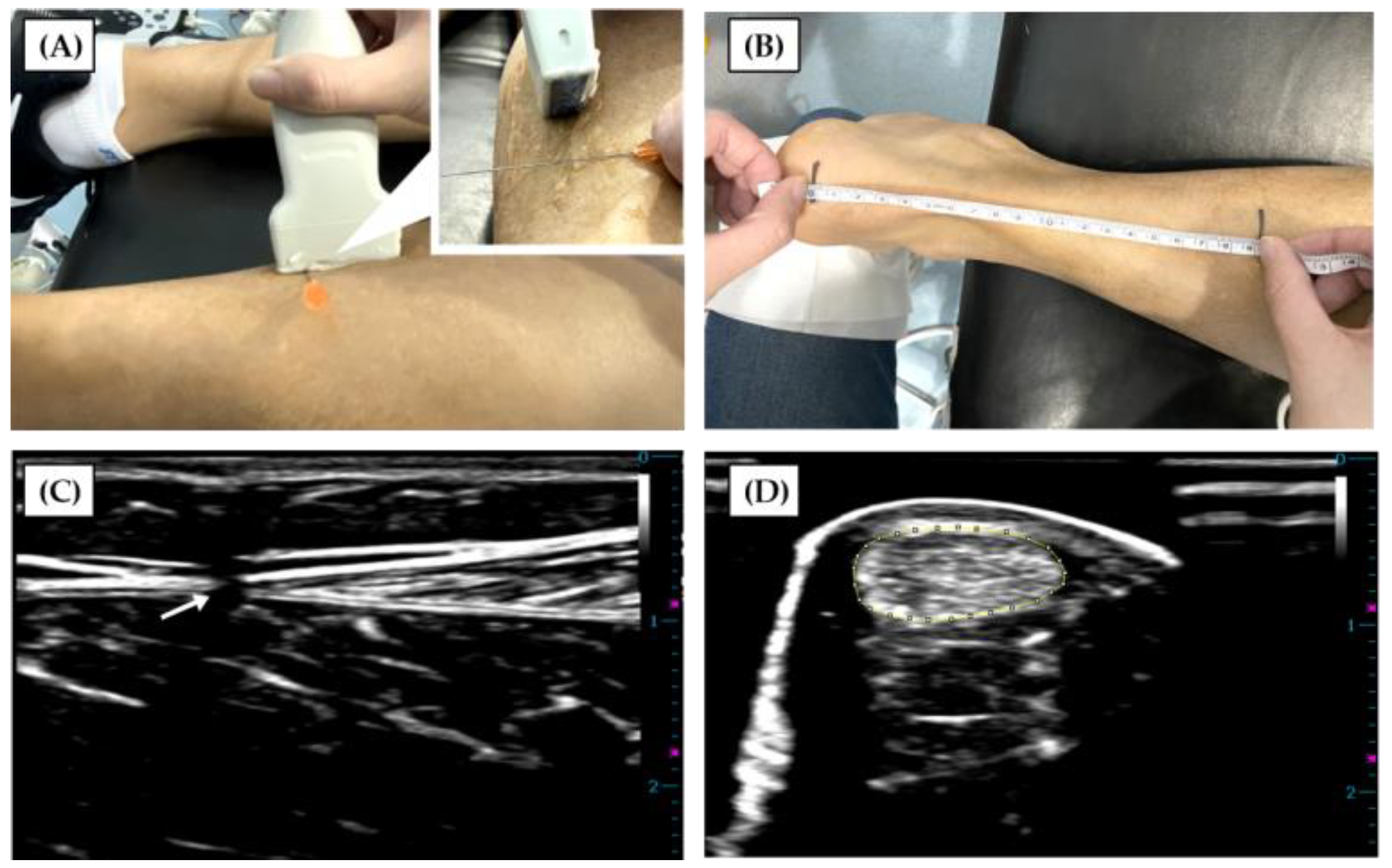 Ijerph 18 08974 g001