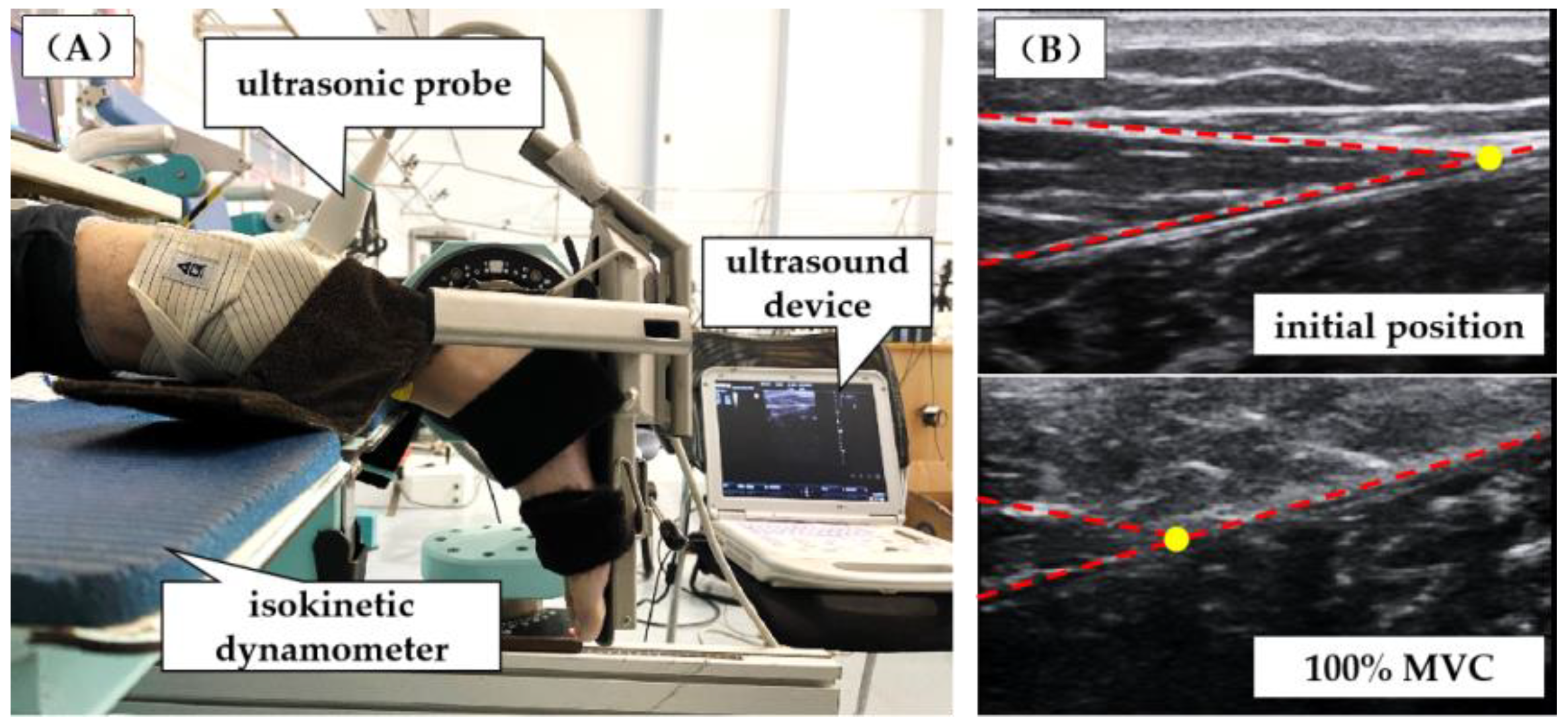 Ijerph 18 08974 g002