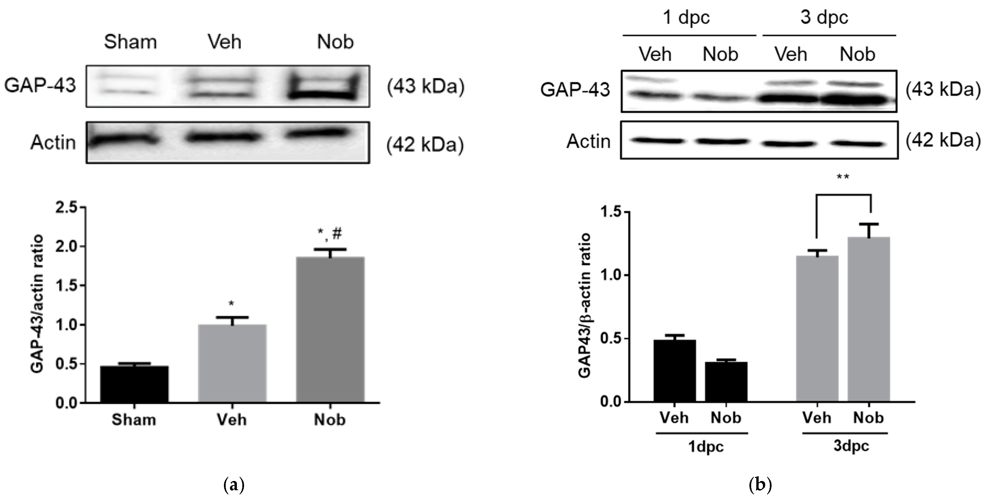 Ijerph 18 08988 g003 550