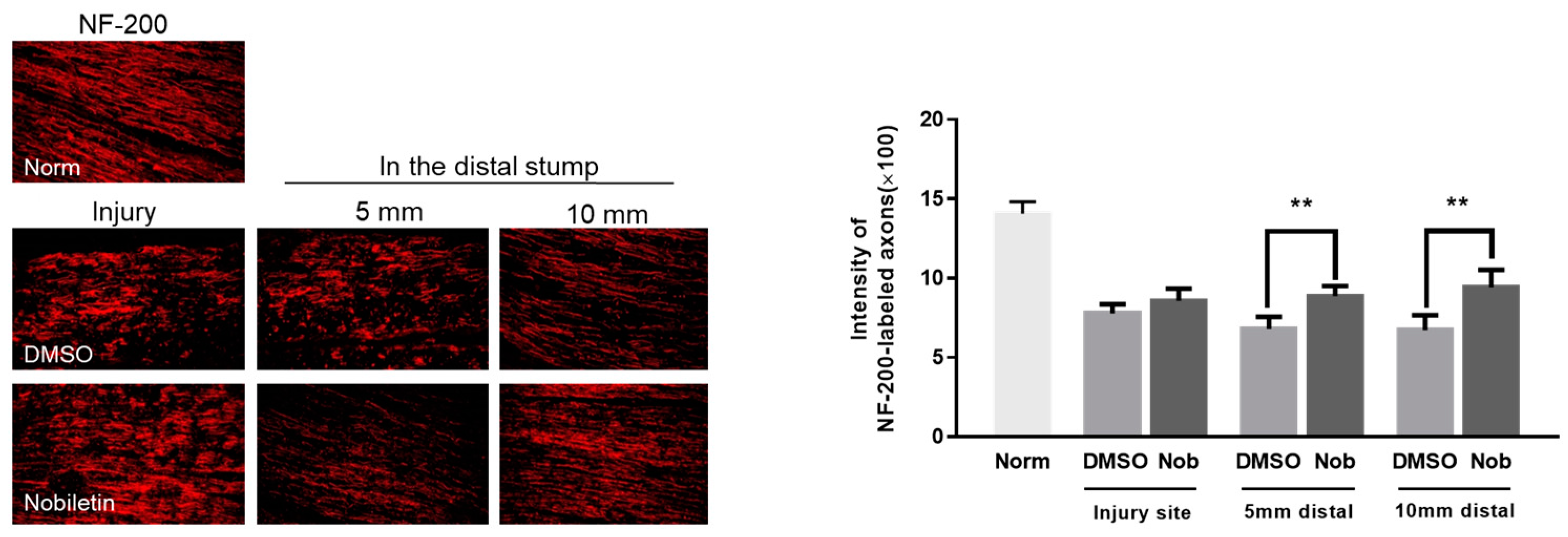 Ijerph 18 08988 g005 550