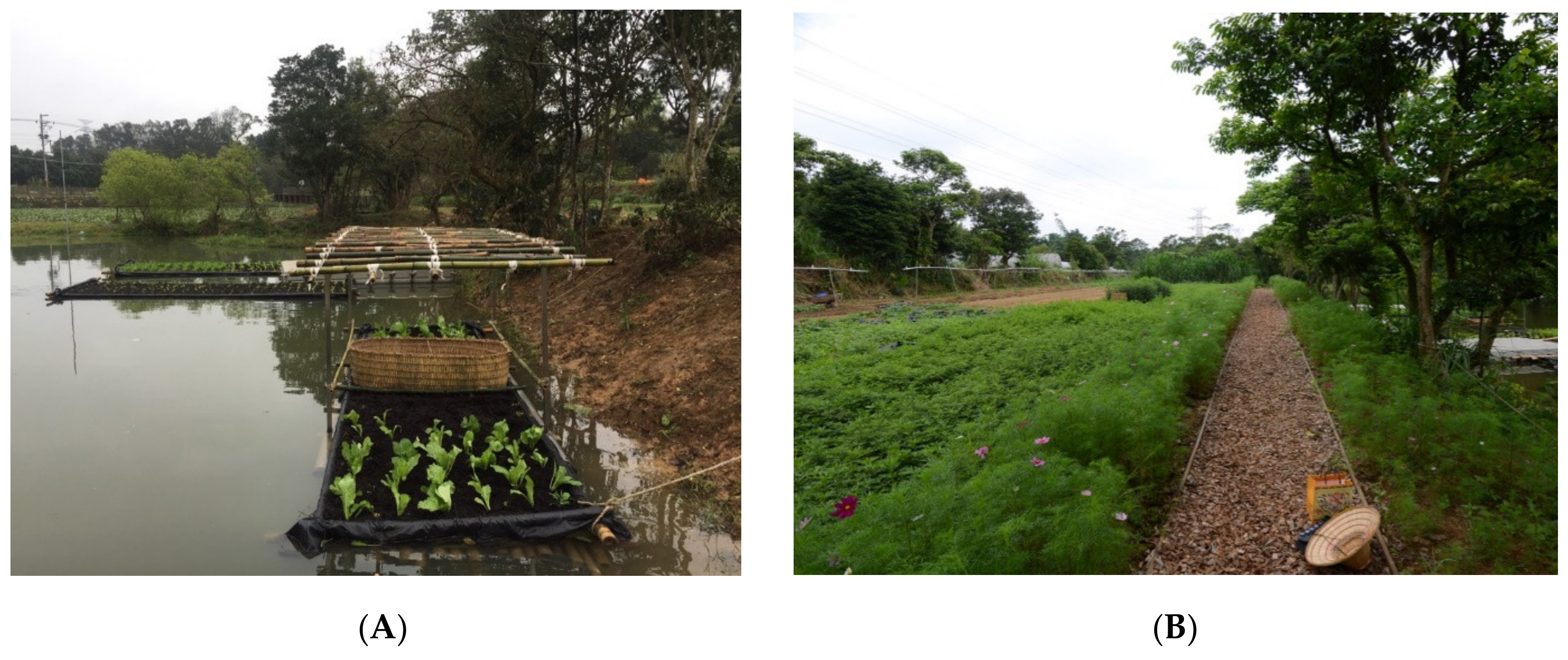 Ijerph 18 09012 g003 550