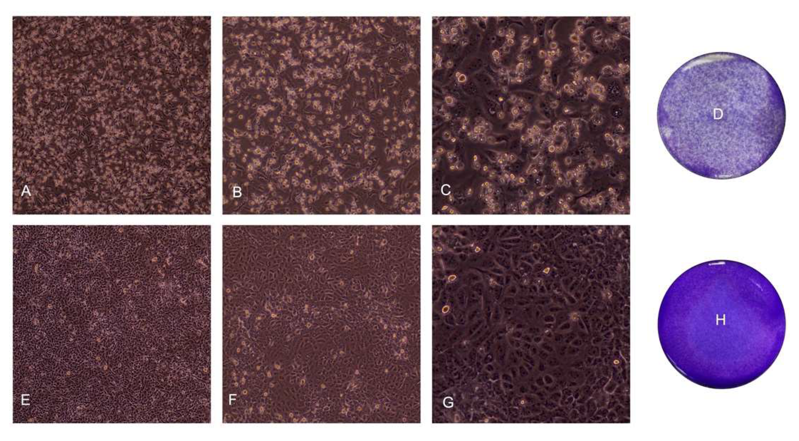 Ijerph 18 09020 g001 550