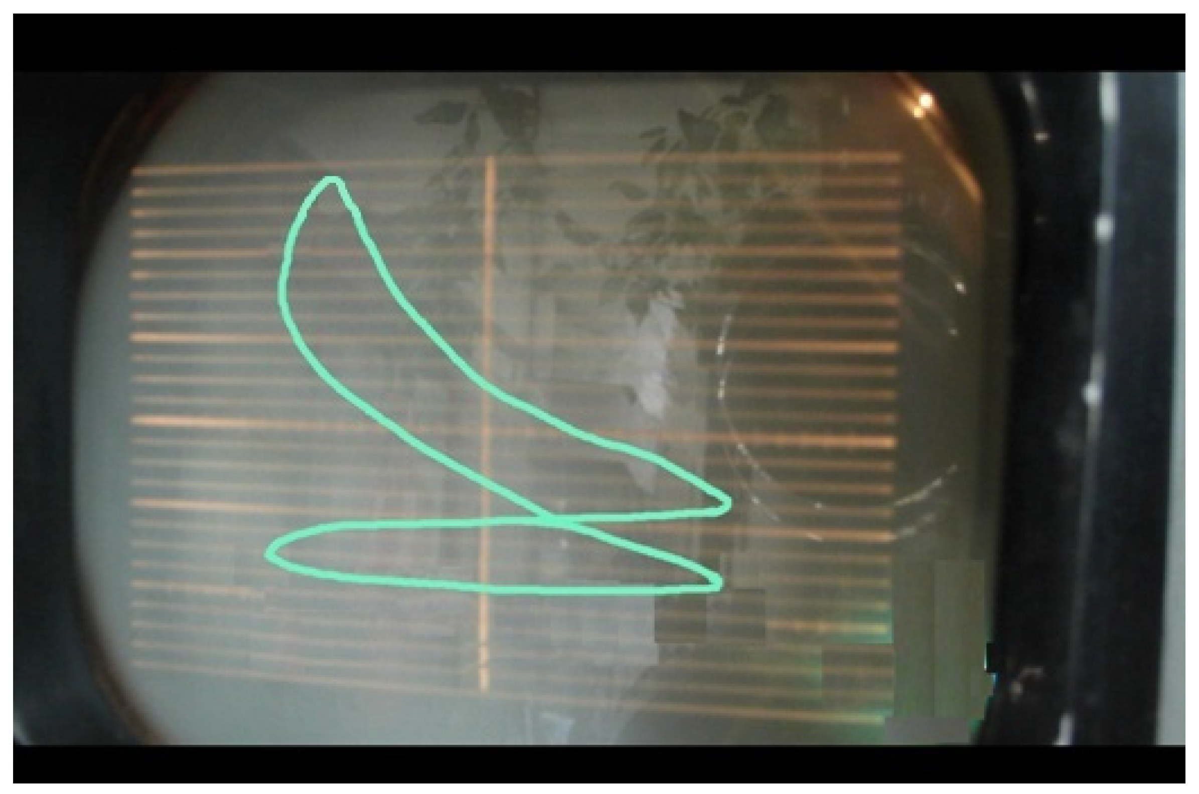 Ijerph 18 09075 g002 550