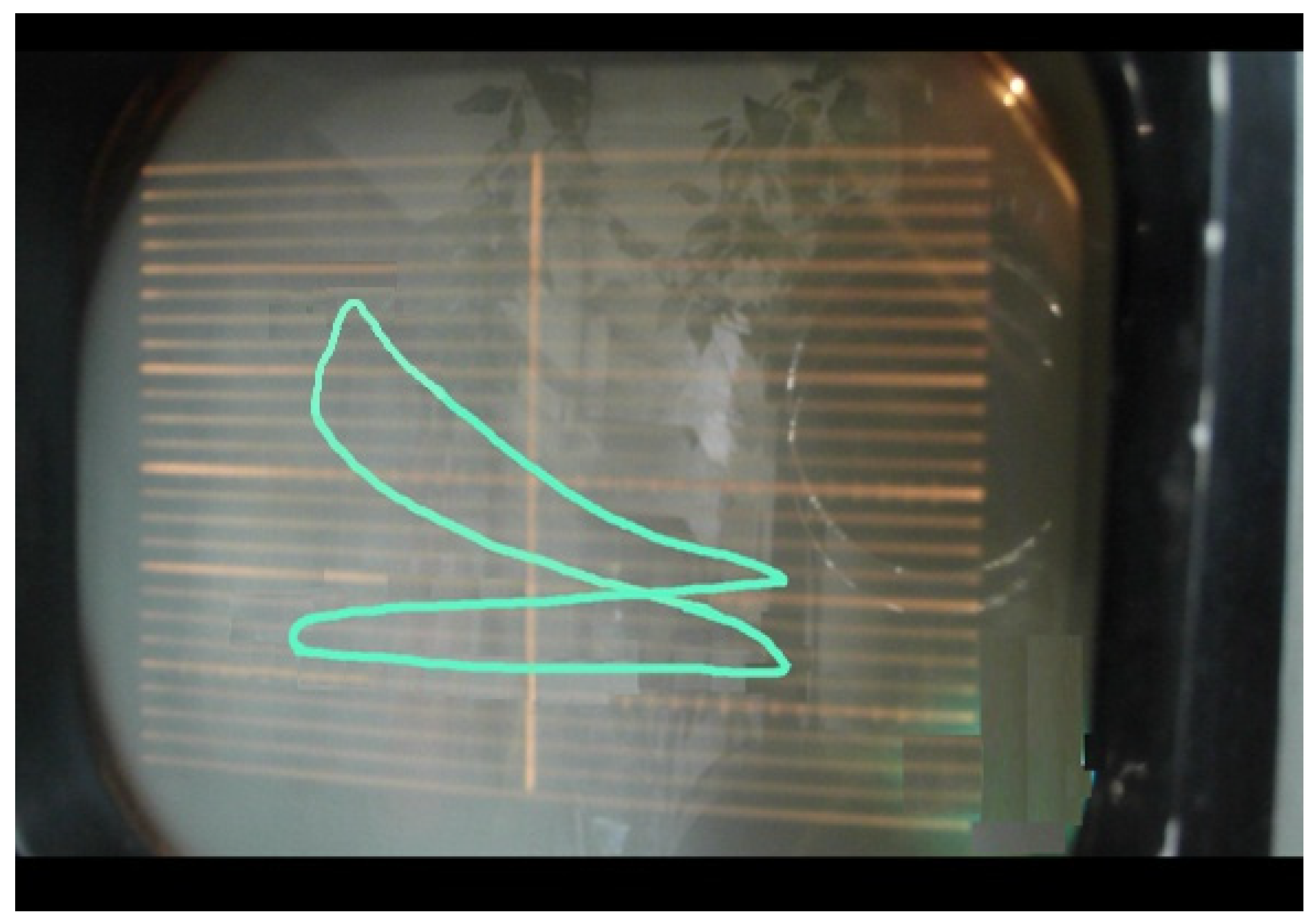 Ijerph 18 09075 g003 550