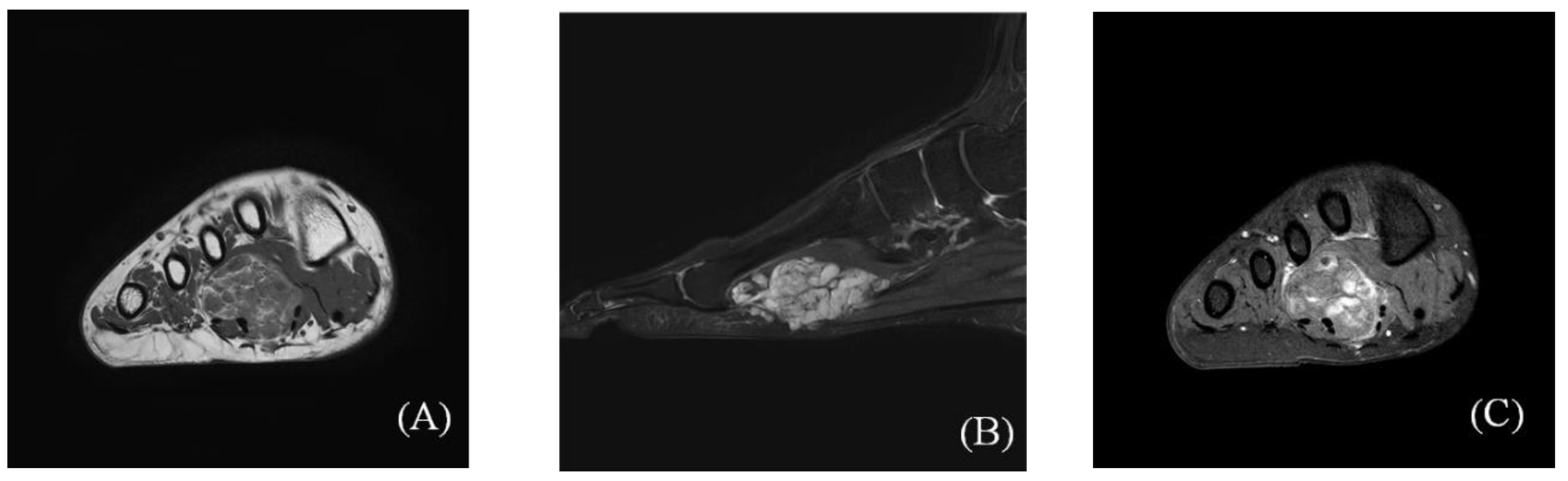 Ijerph 18 09088 g002