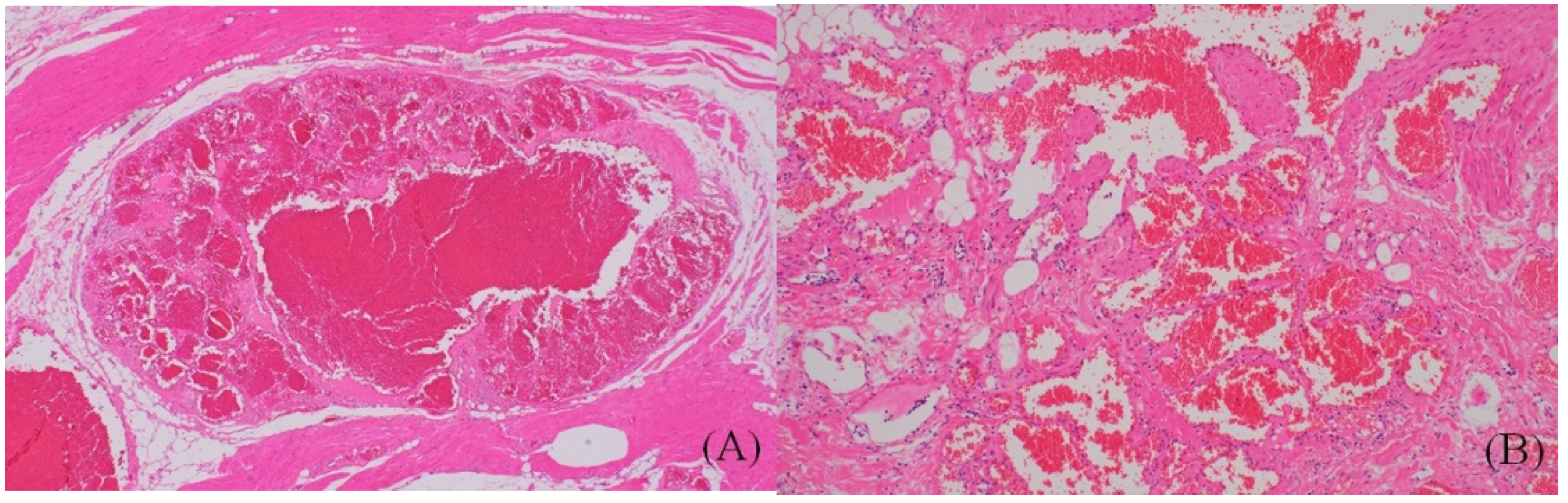 Ijerph 18 09088 g004