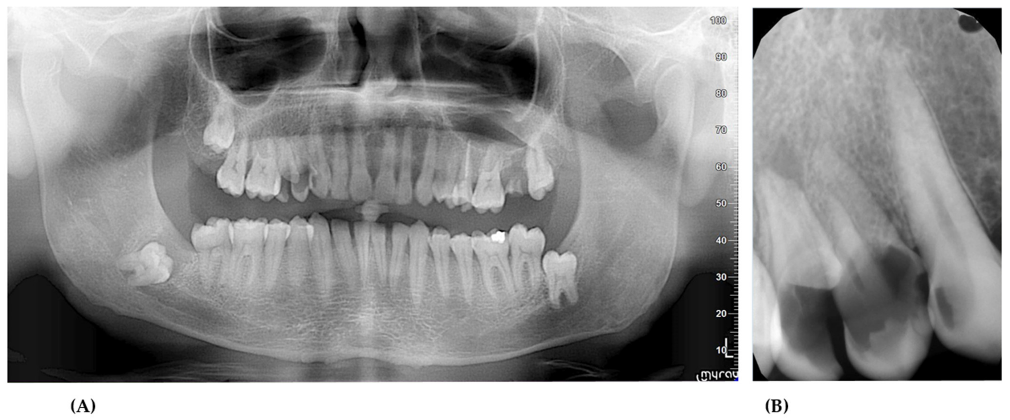 Ijerph 18 09099 g003