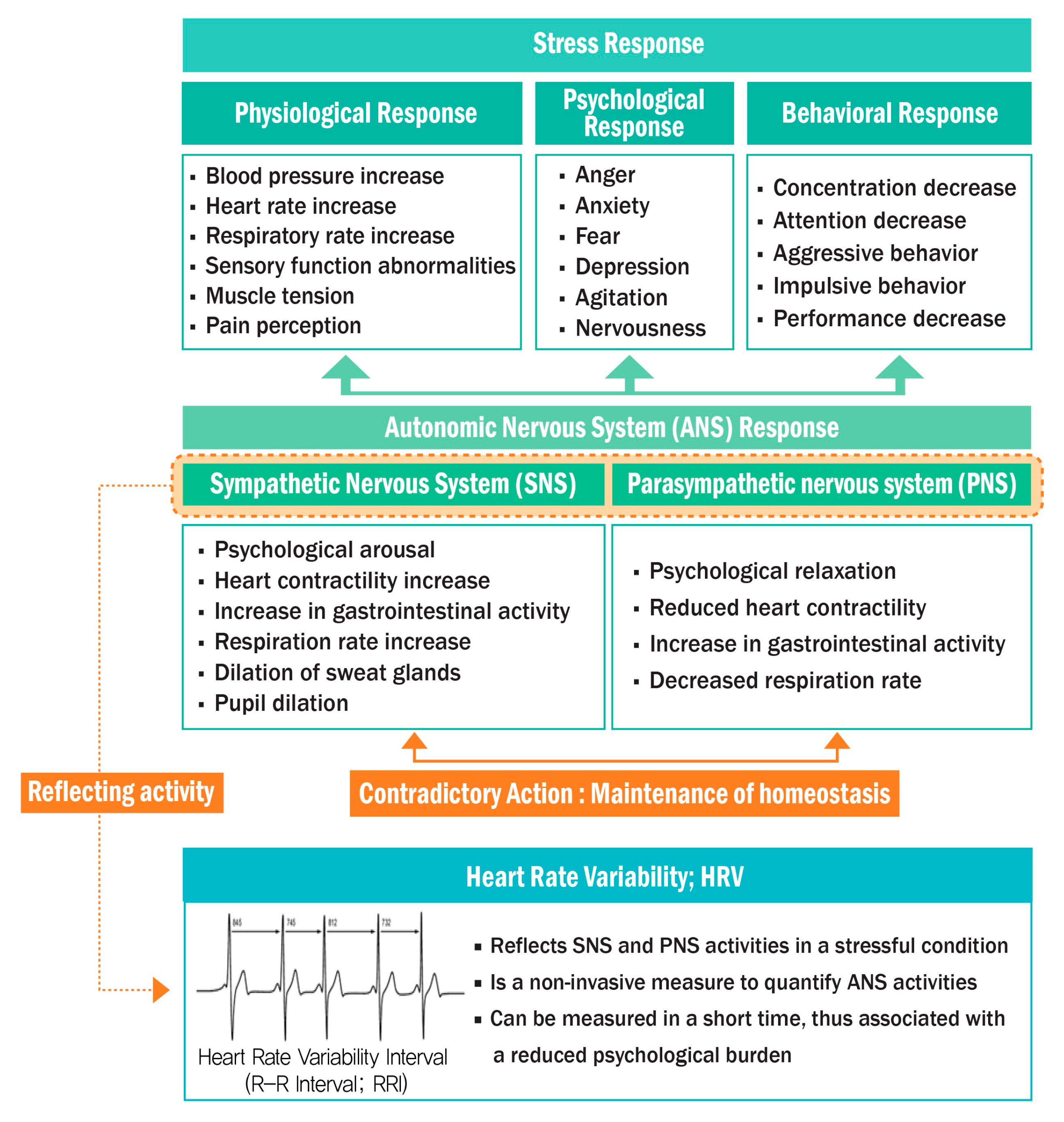 Ijerph 18 09136 g001 Ijerph 18 09136 g001