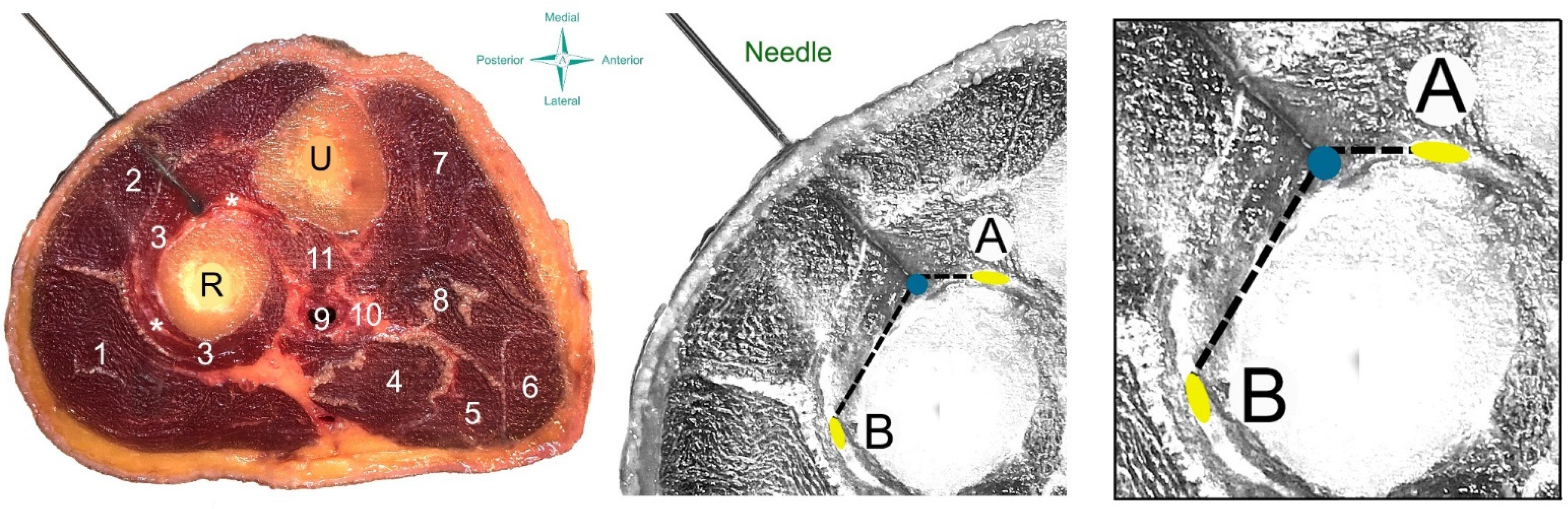 Ijerph 18 09162 g002 550
