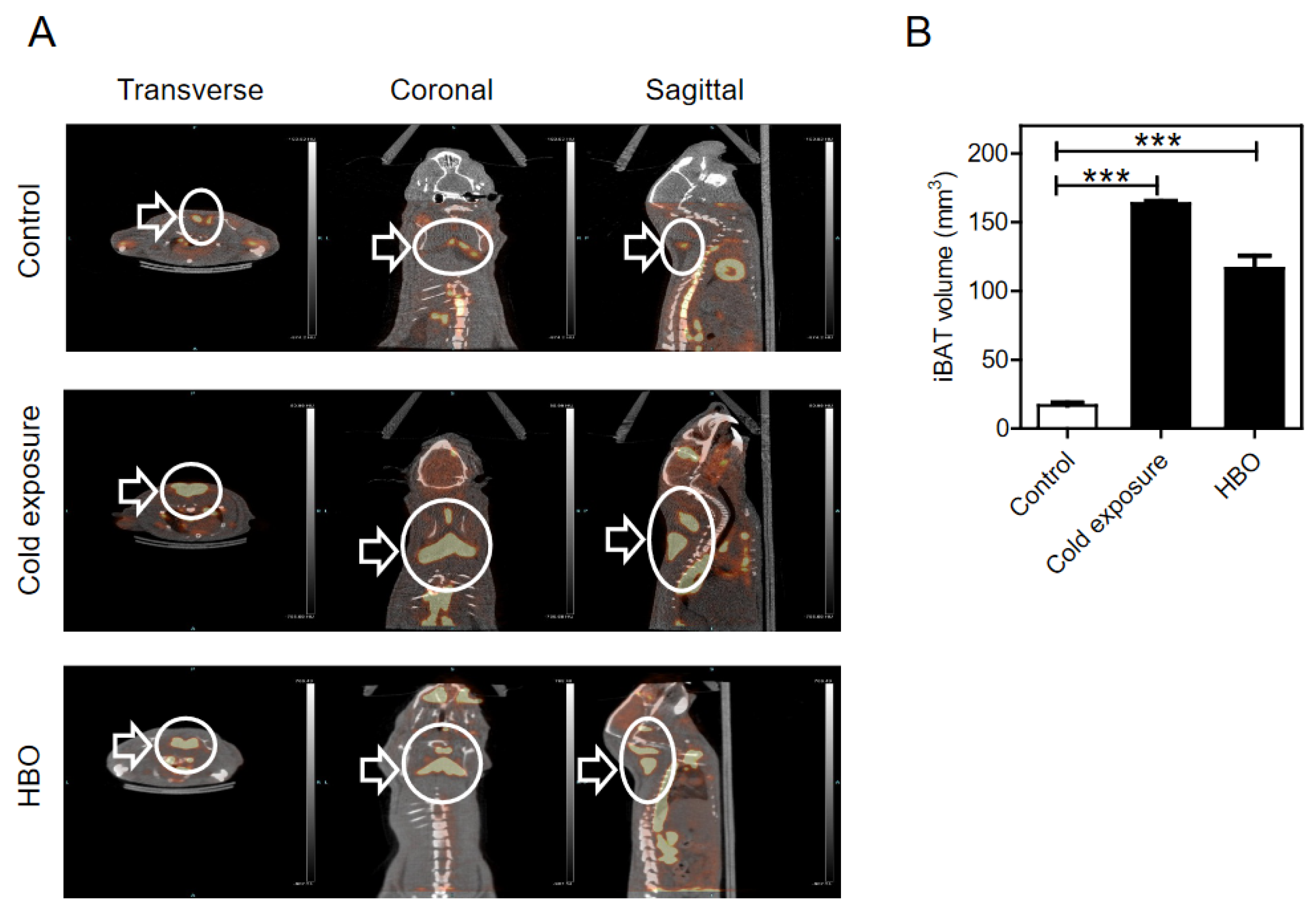 Ijerph 18 09165 g001 550