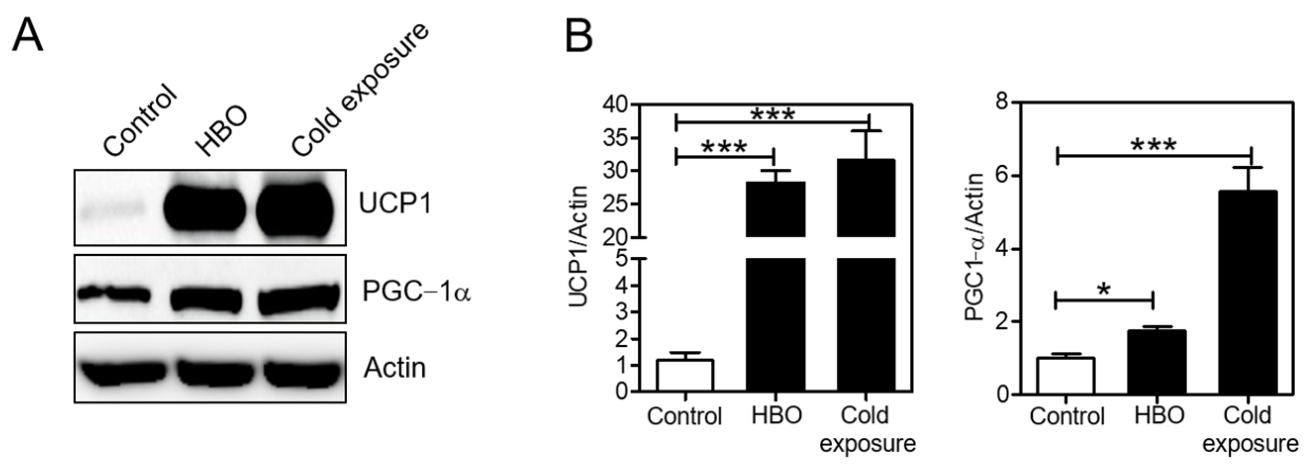 Ijerph 18 09165 g003 550