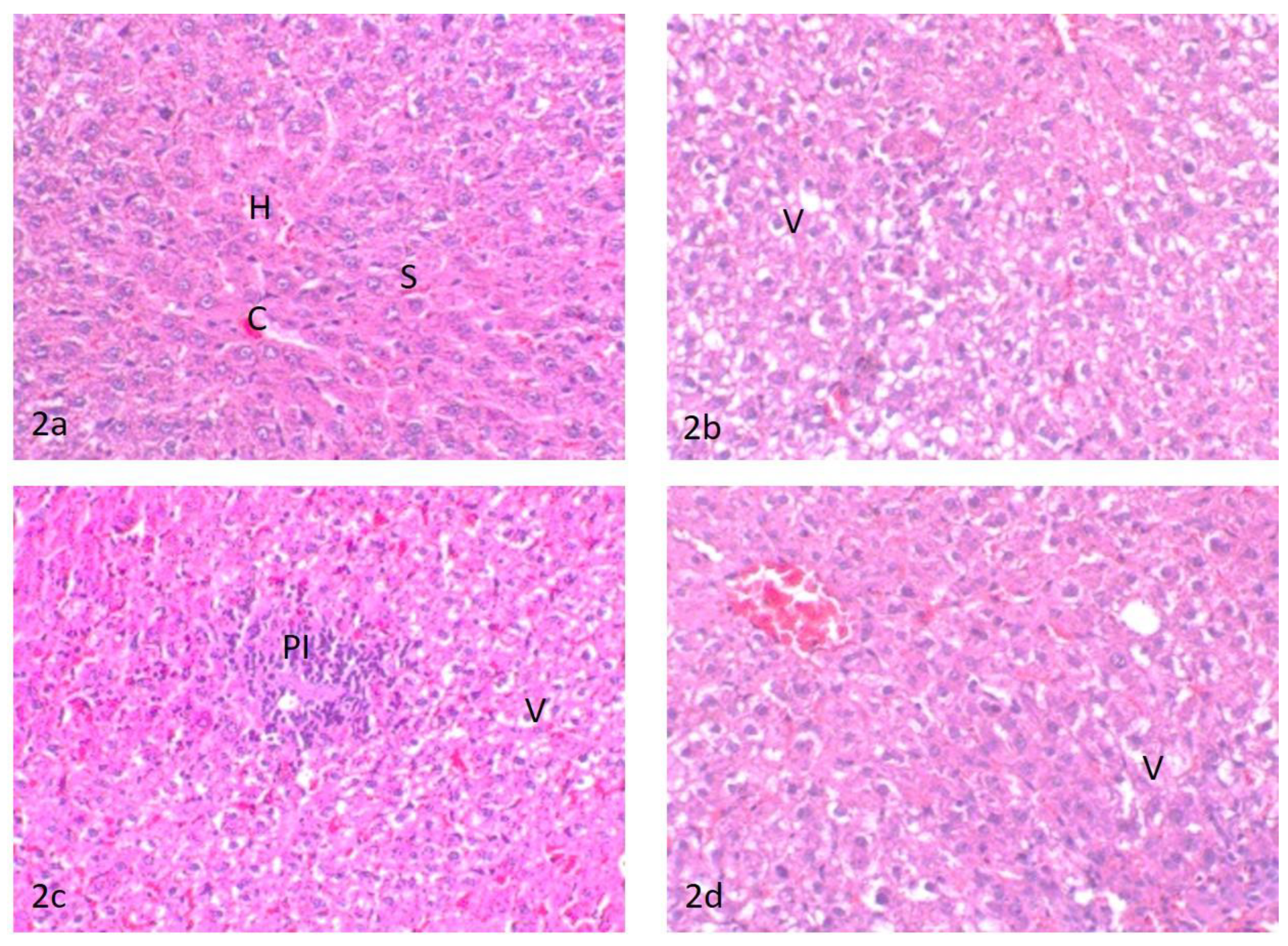 Ijerph 18 09278 g002 550