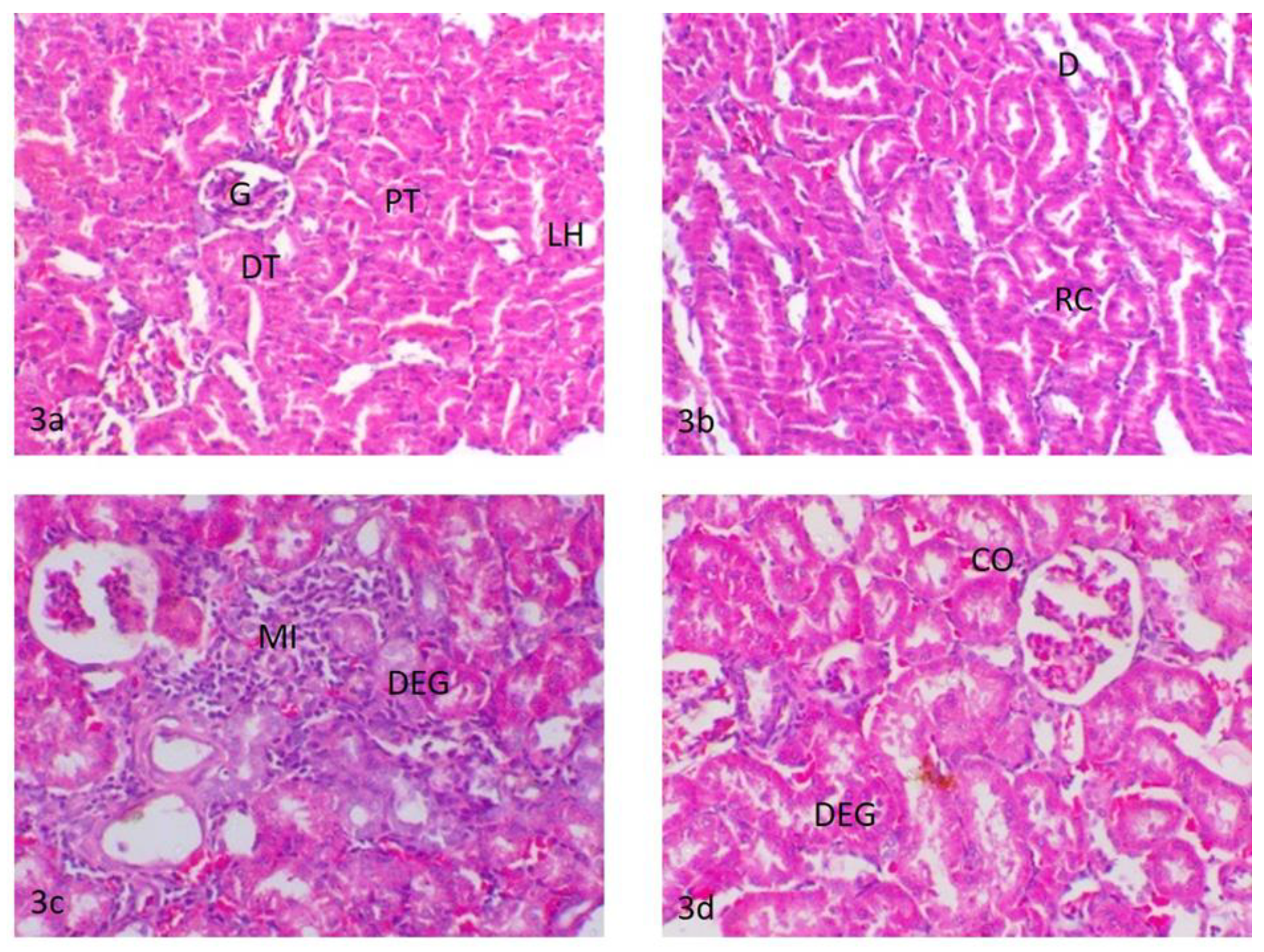 Ijerph 18 09278 g003 550