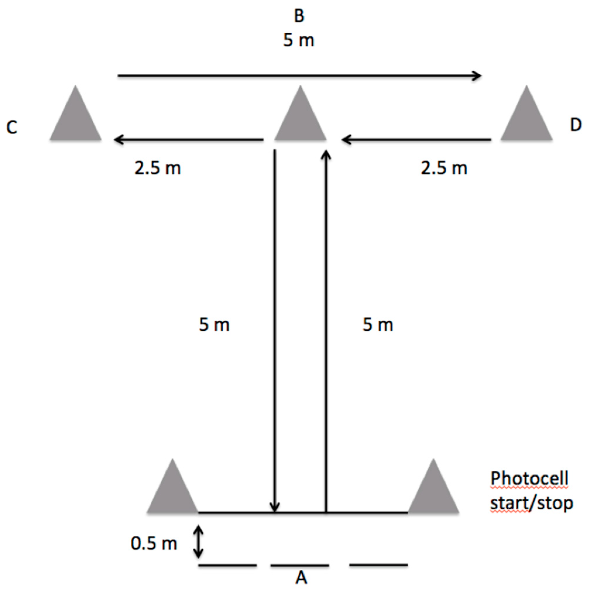 IJERPH Free Full-Text Physical Fitness Profiling of National Category Table Tennis Players Implication for Health and Performance image