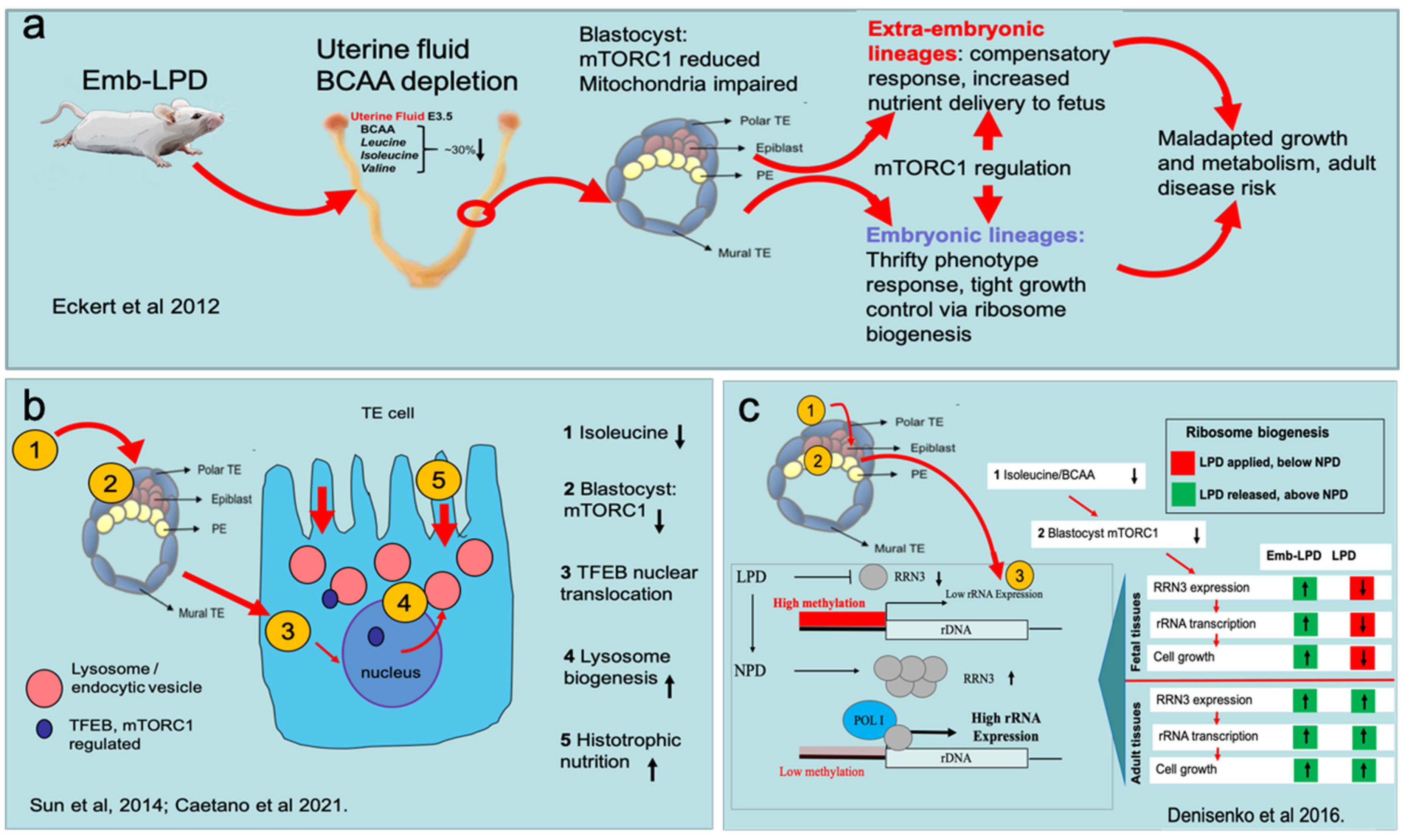 Ijerph 18 09380 g002