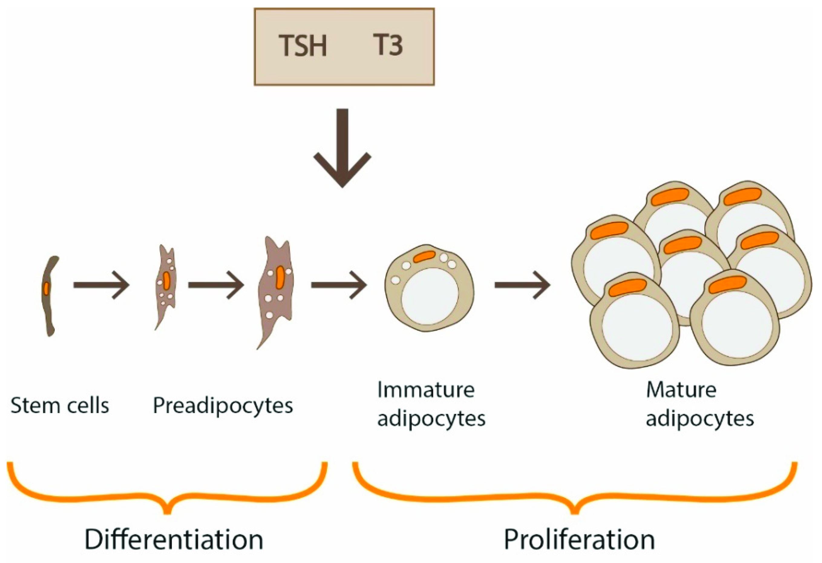 Ijerph 18 09434 g002
