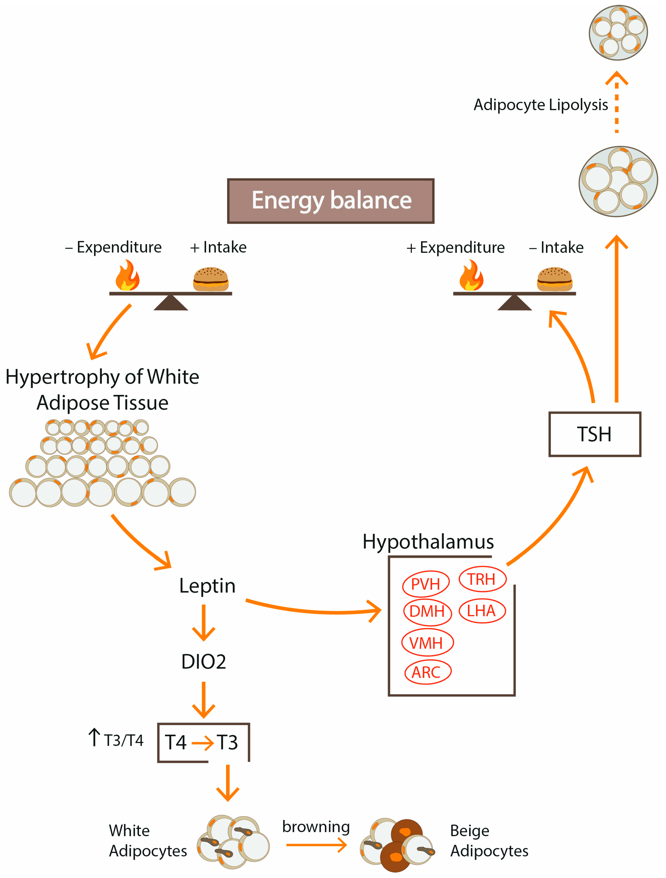 Ijerph 18 09434 g003
