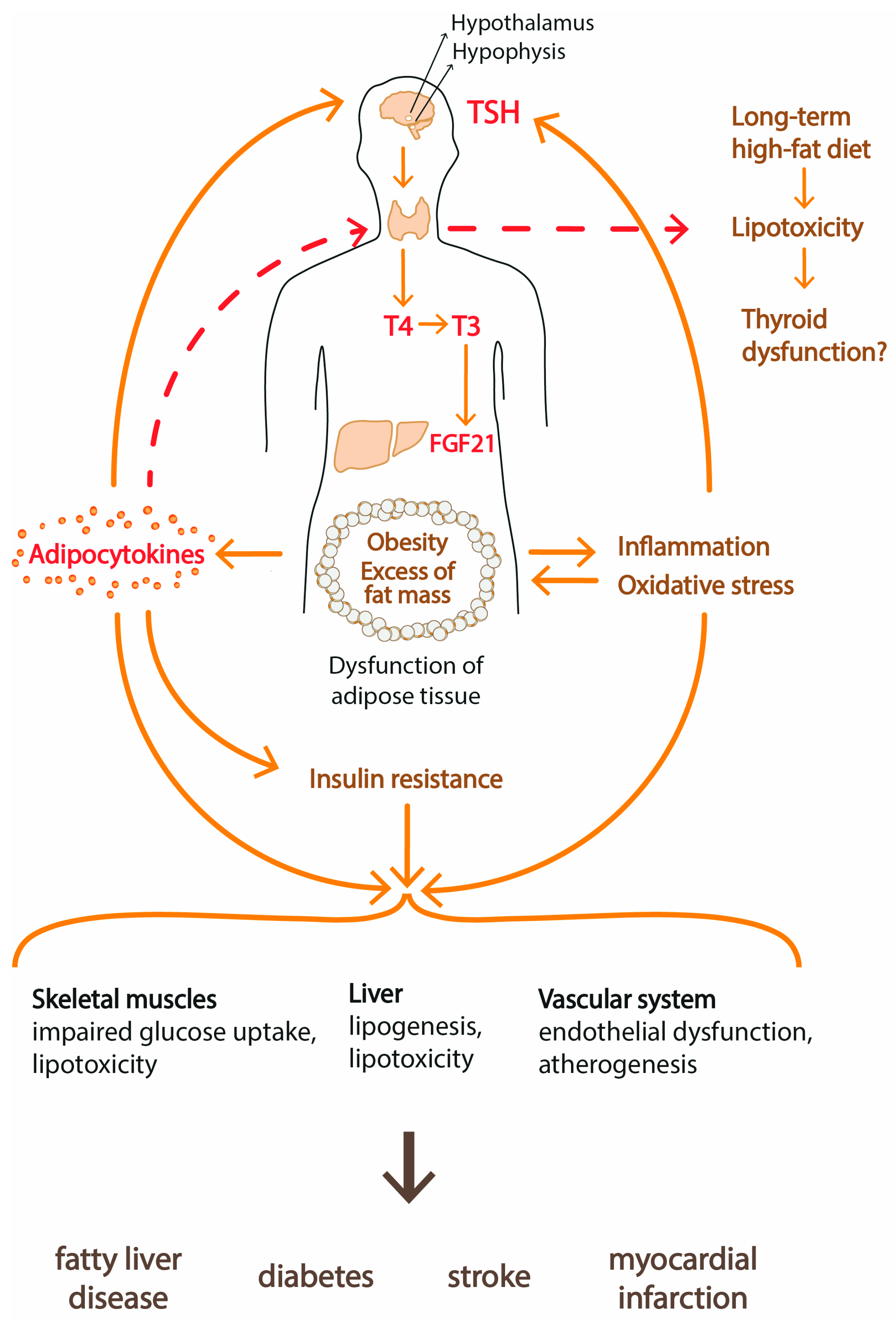 Ijerph 18 09434 g004