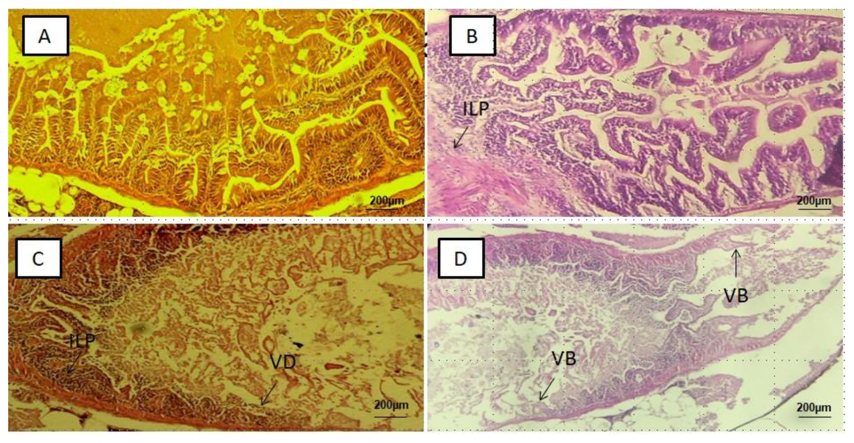 Ijerph 18 09449 g002