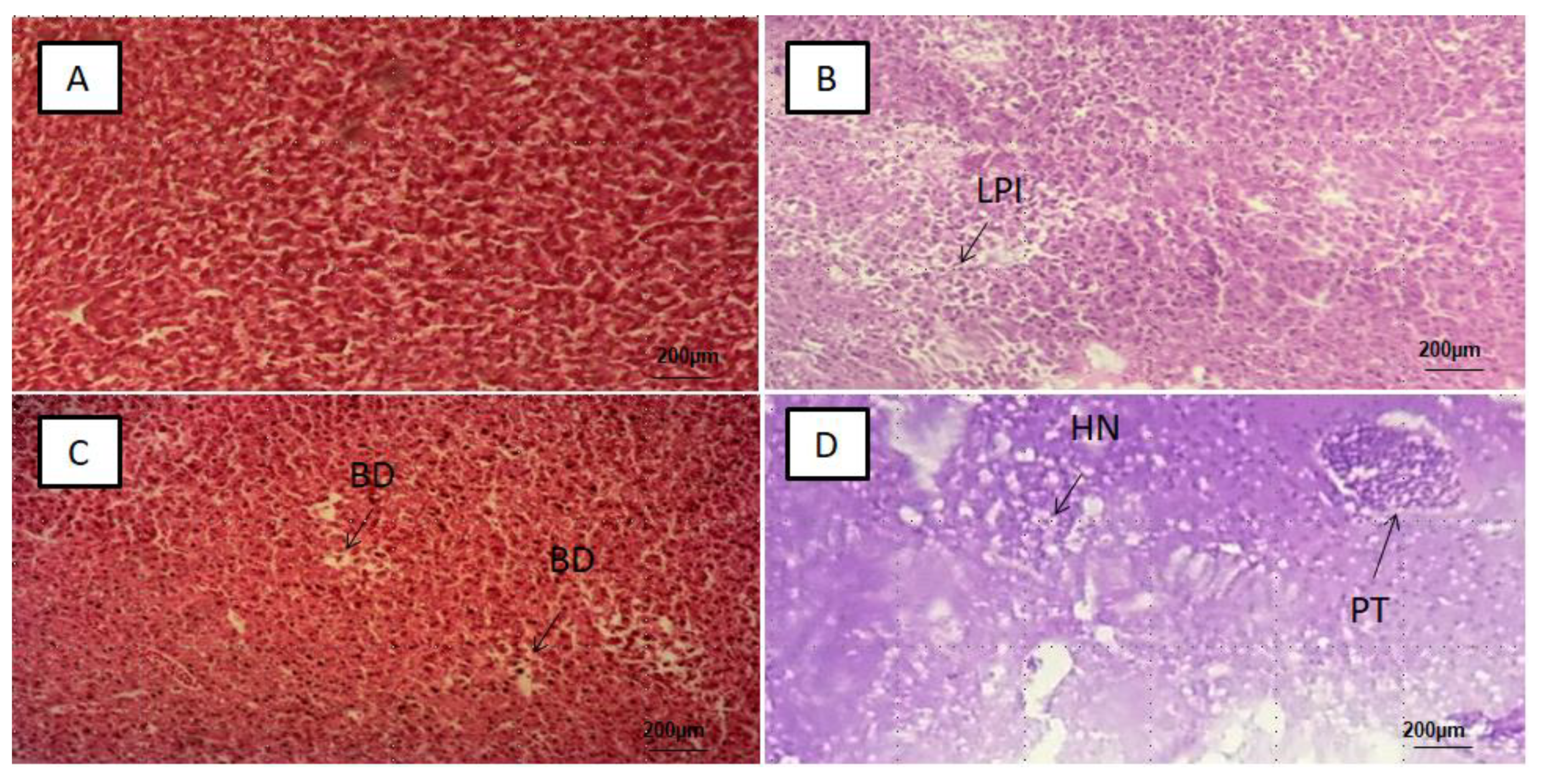 Ijerph 18 09449 g003