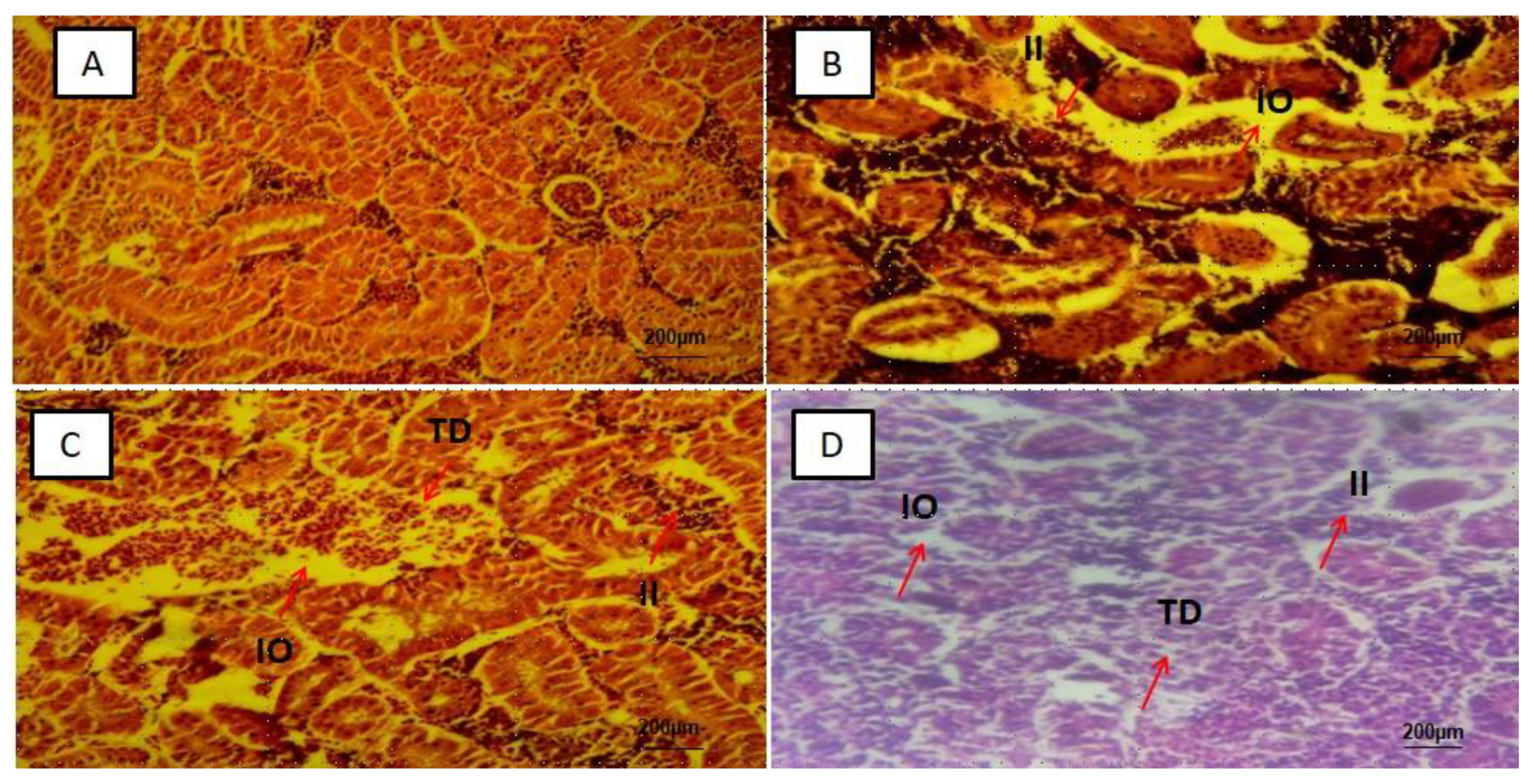 Ijerph 18 09449 g004