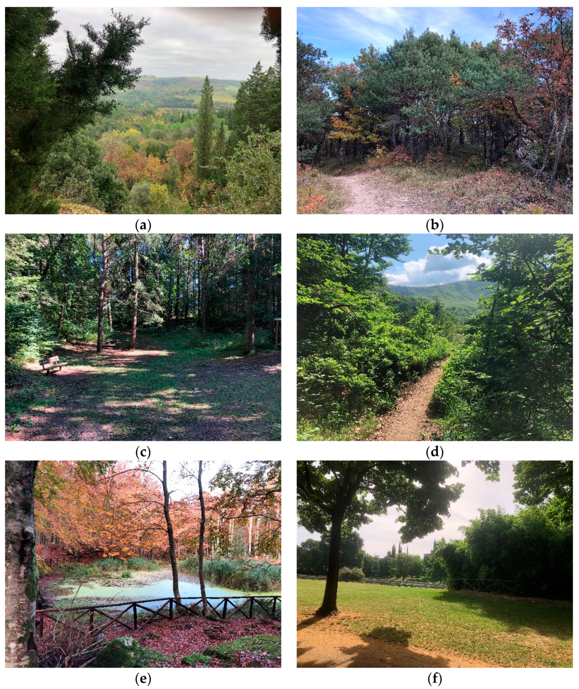 Ijerph 18 09509 g002 550