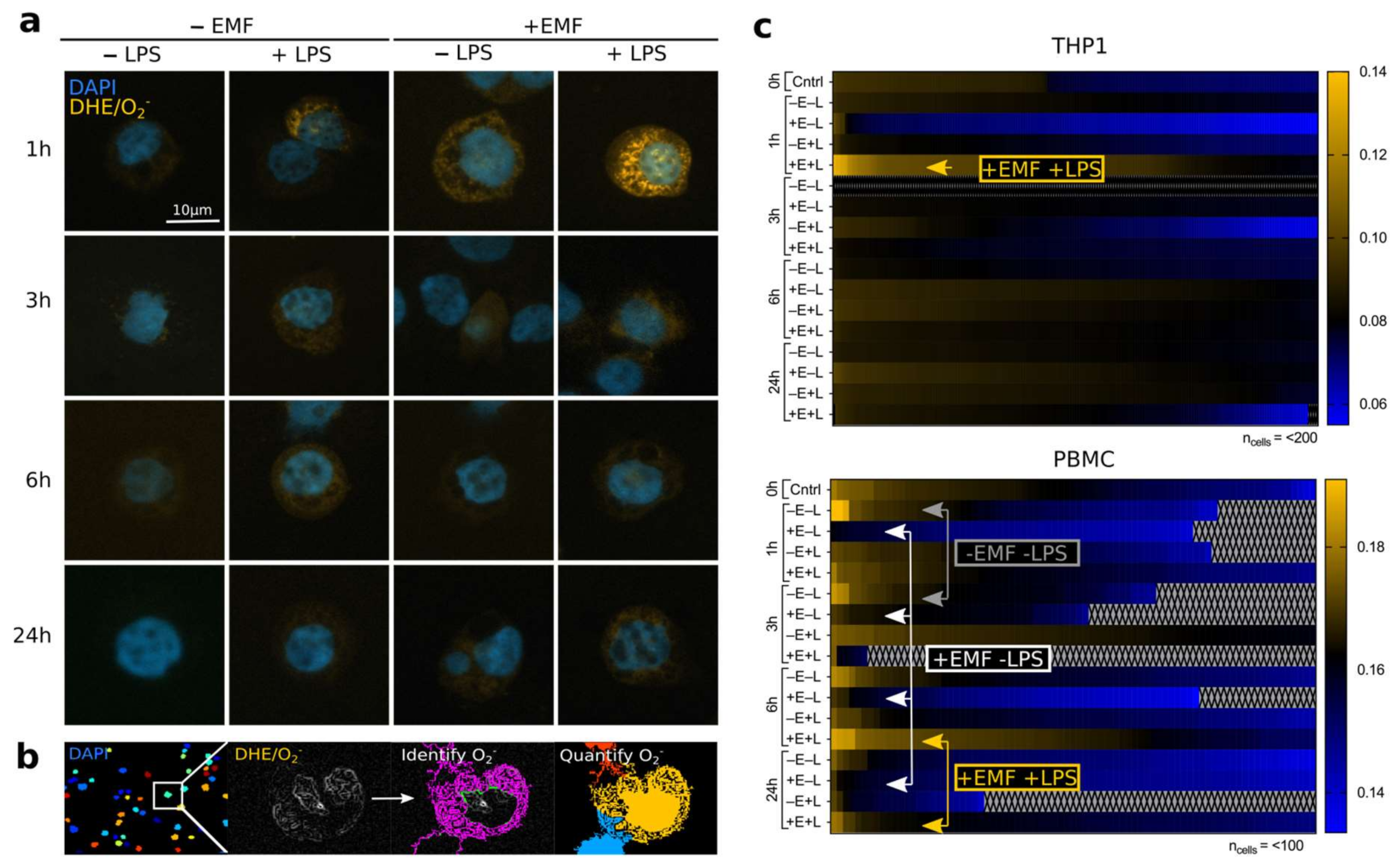 Ijerph 18 09519 g002