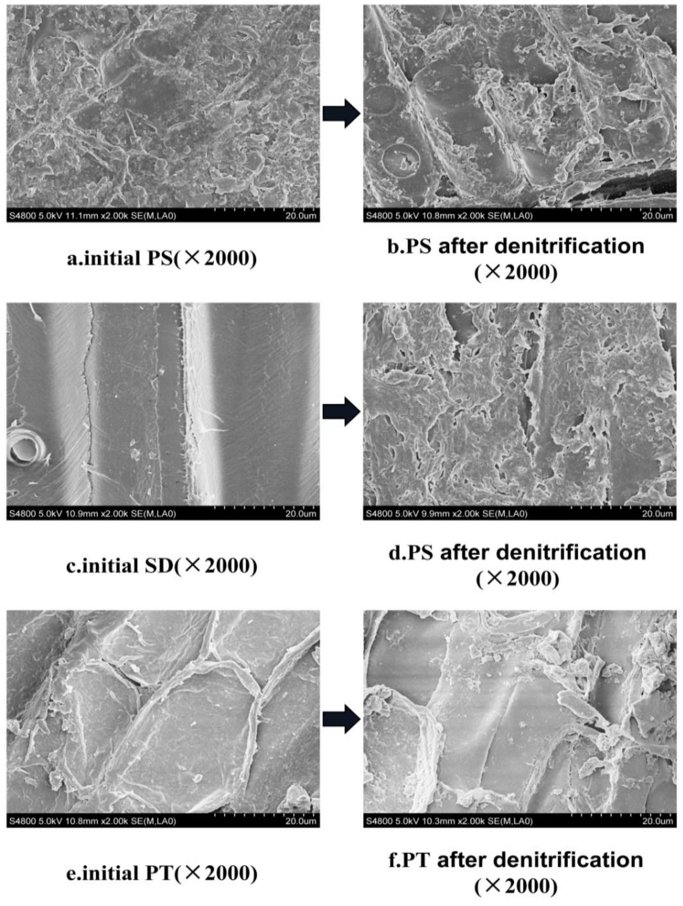 Ijerph 18 09569 g008
