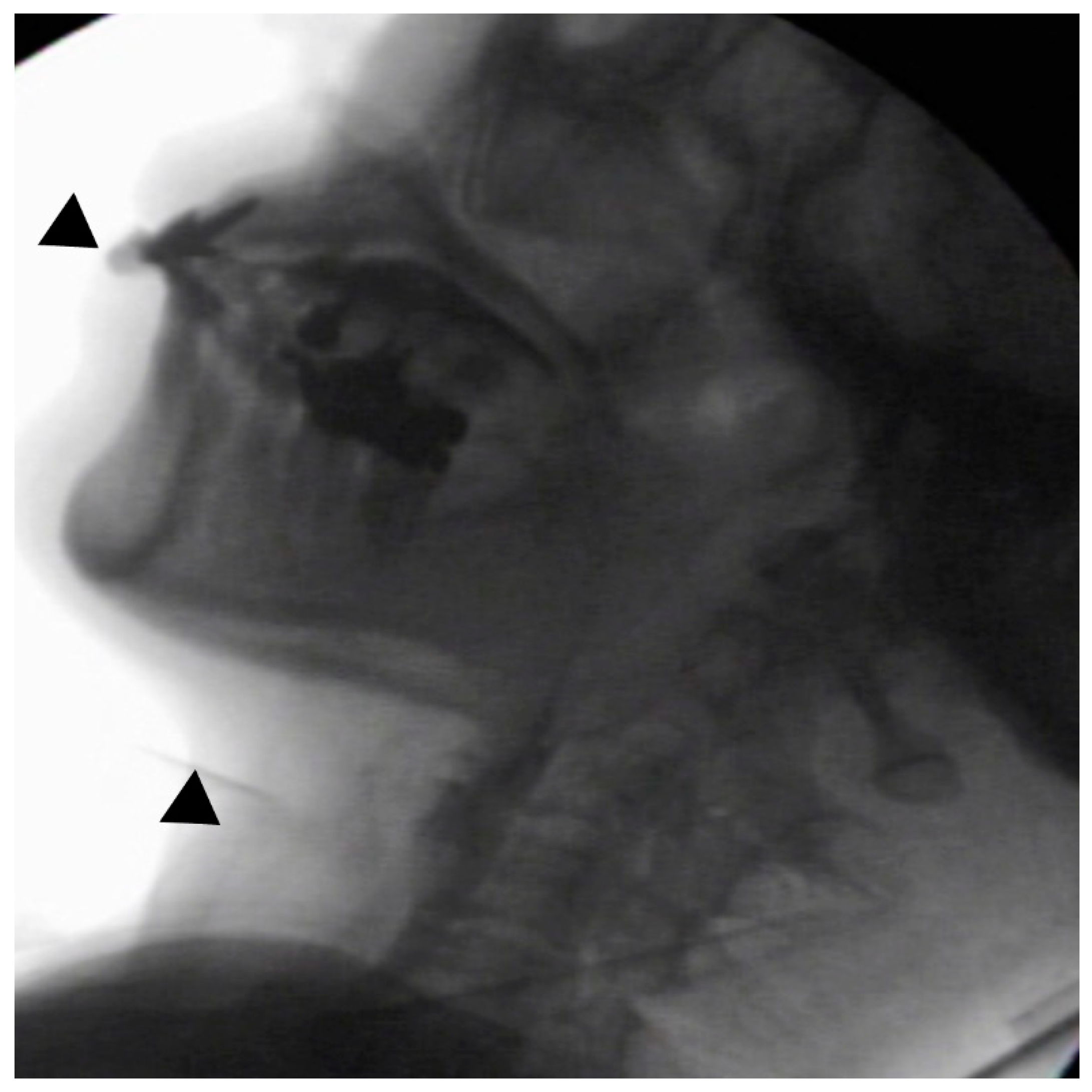 Ijerph 18 09734 g002 550